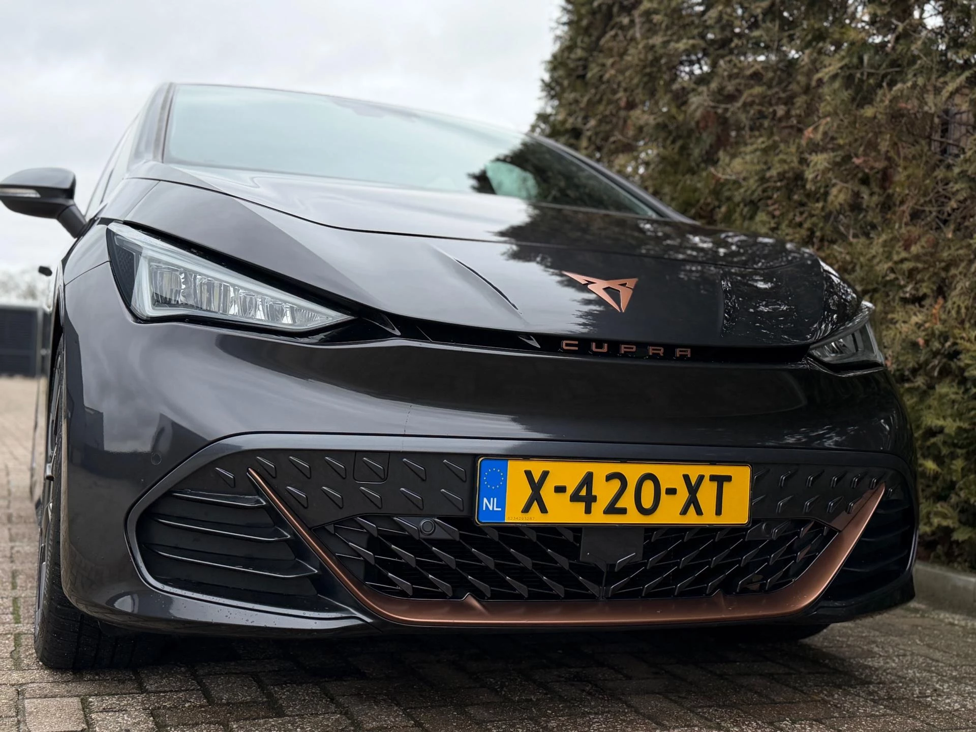 Hoofdafbeelding CUPRA Born