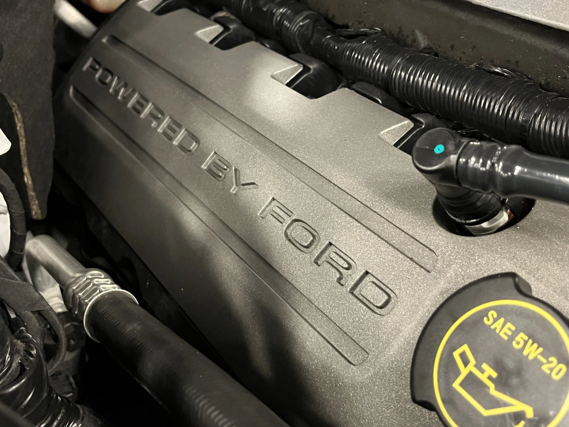Hoofdafbeelding Ford Mustang