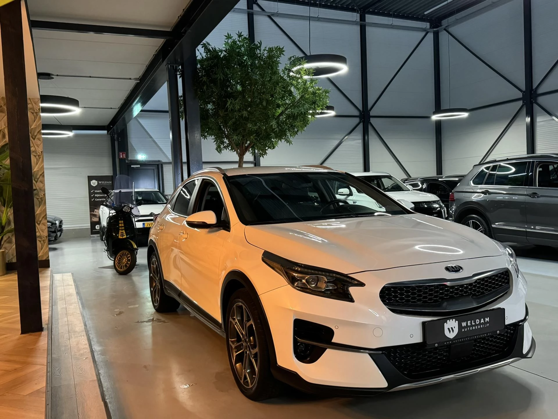 Hoofdafbeelding Kia XCeed