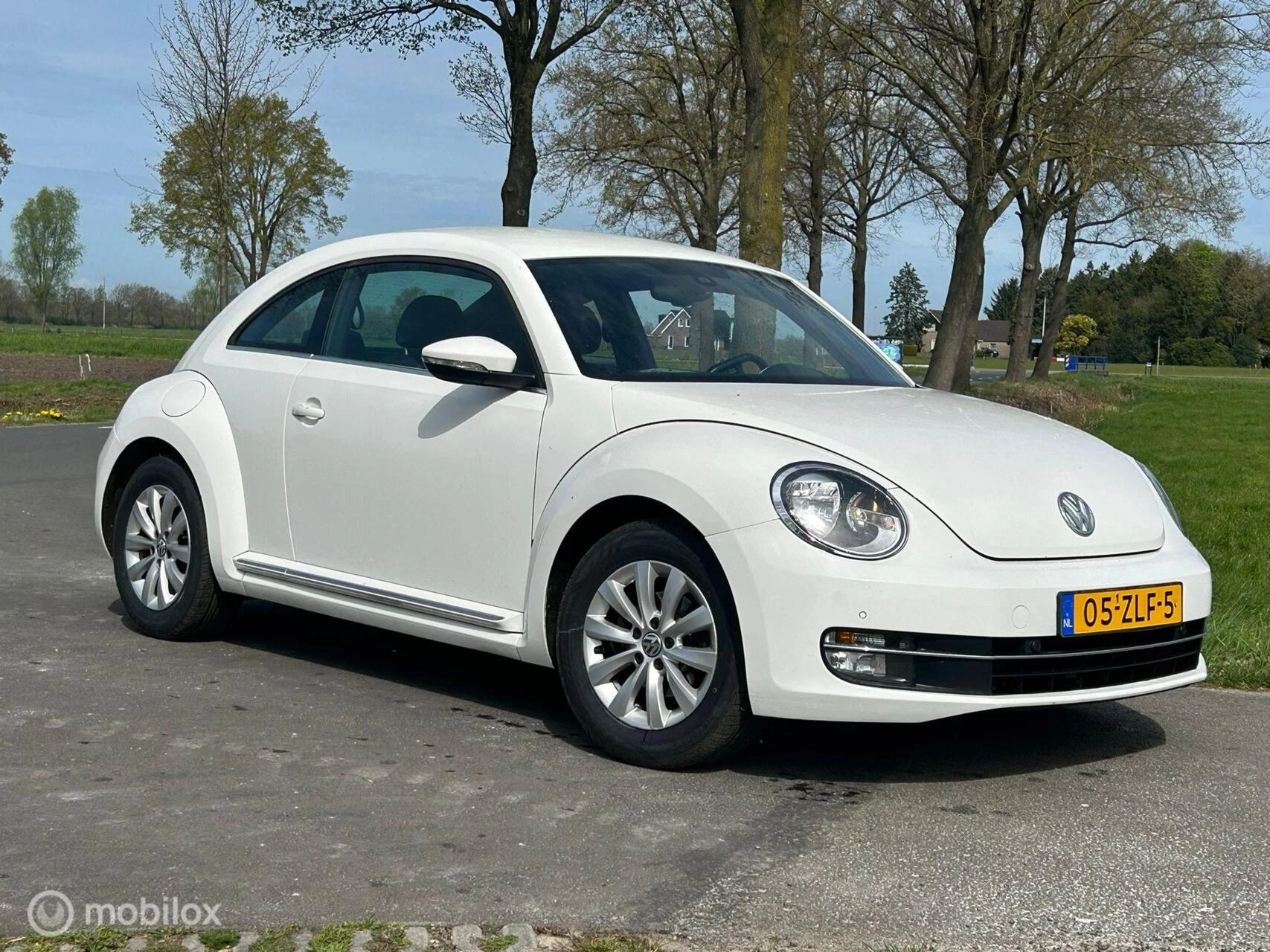 Hoofdafbeelding Volkswagen Beetle