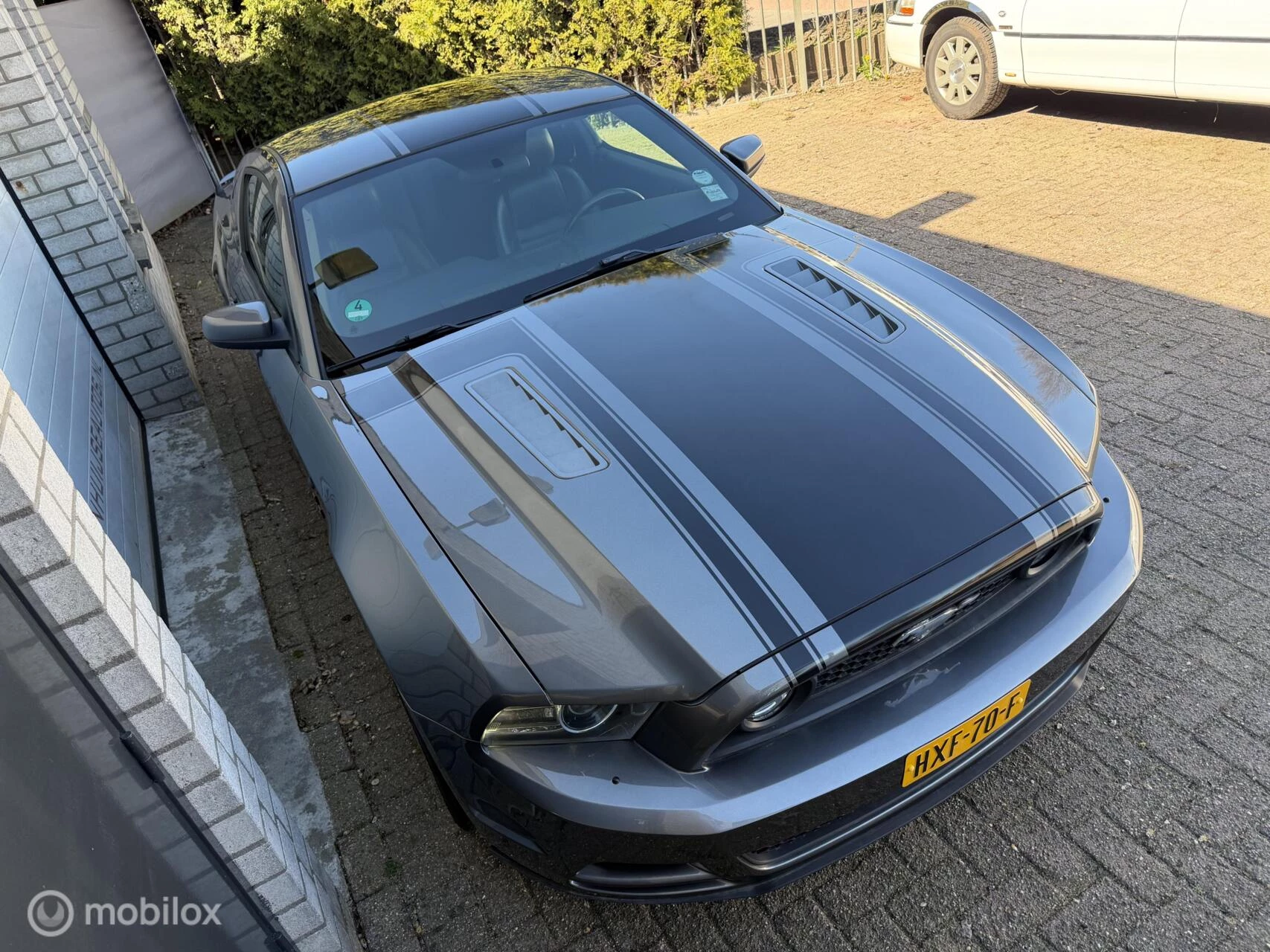 Hoofdafbeelding Ford Mustang