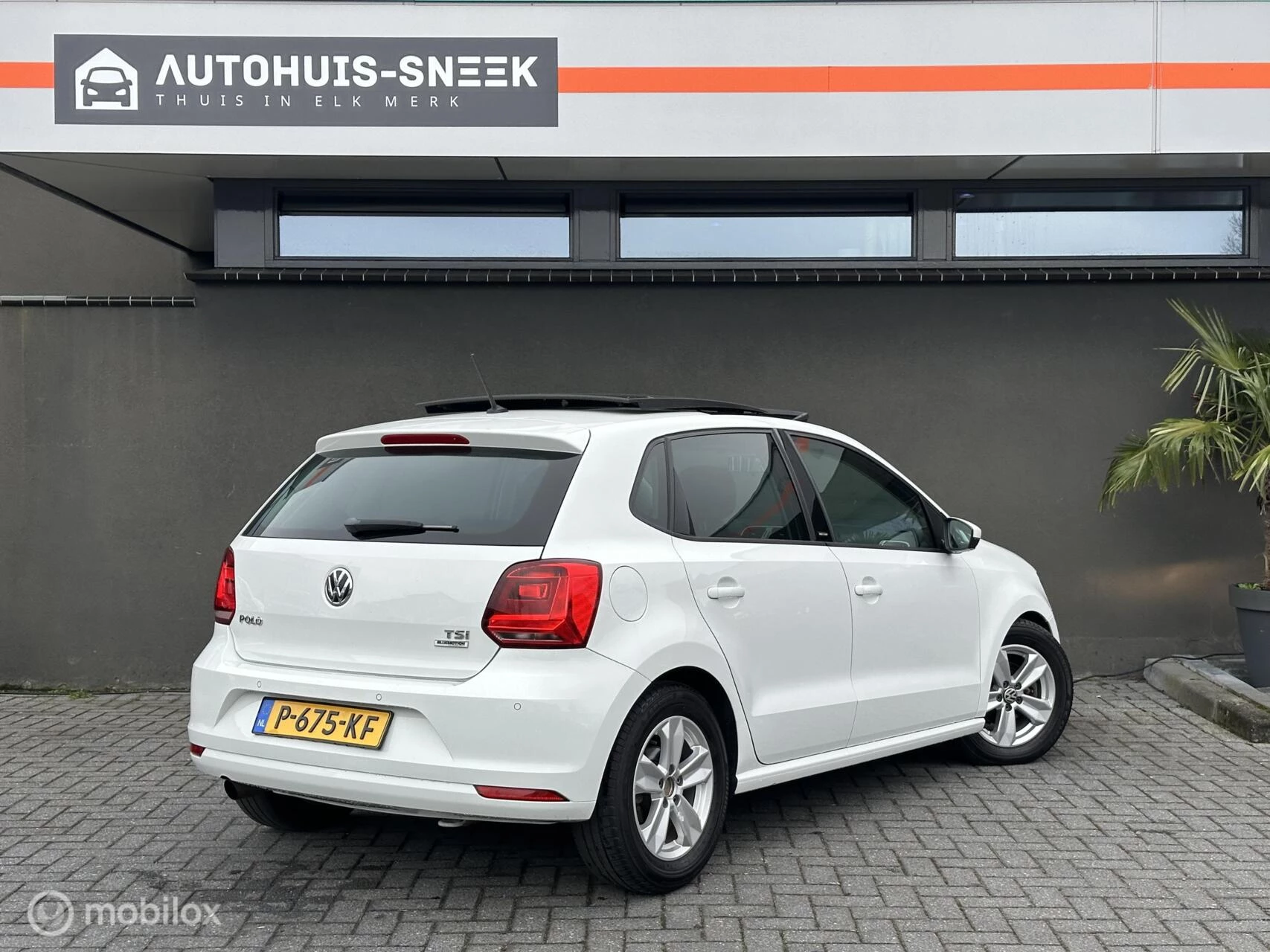 Hoofdafbeelding Volkswagen Polo