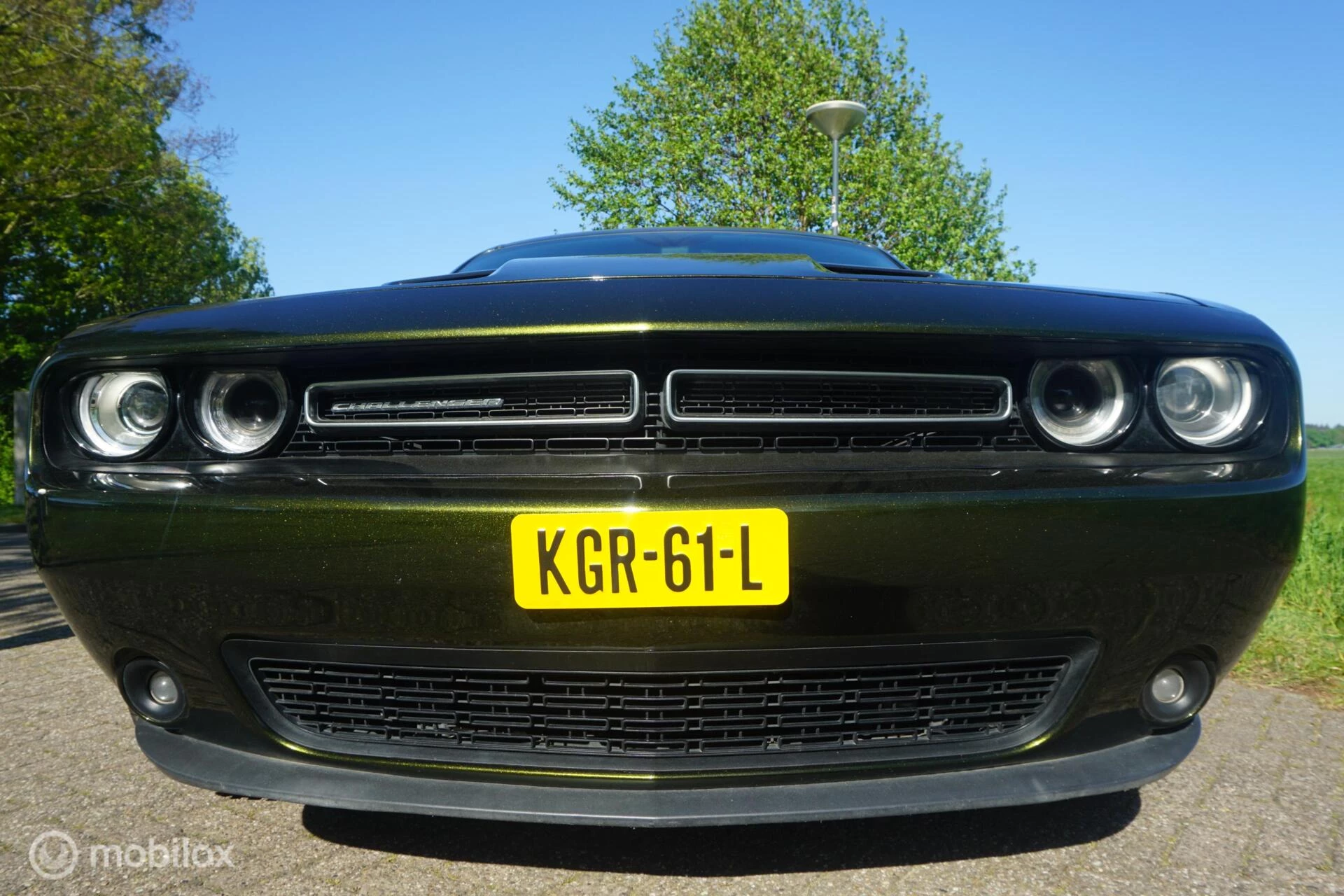 Hoofdafbeelding Dodge Challenger