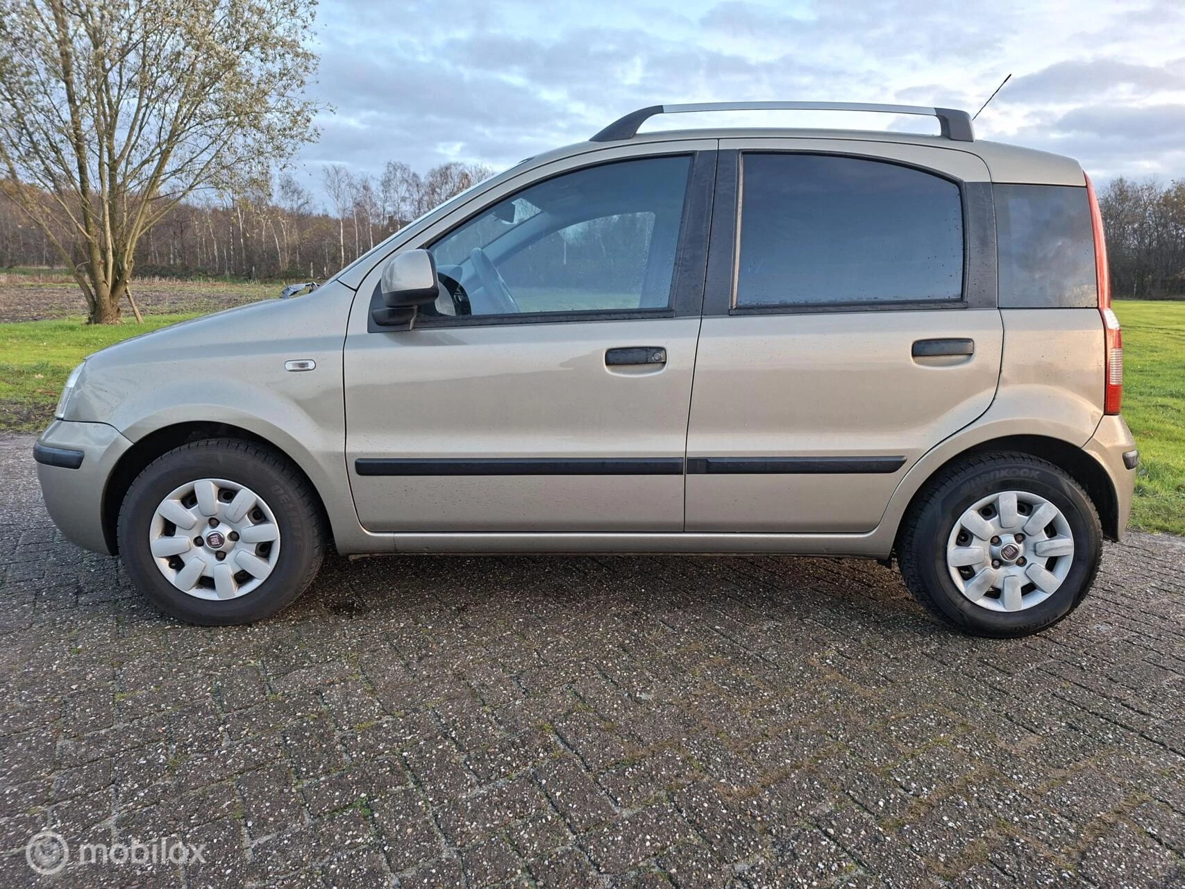 Hoofdafbeelding Fiat Panda
