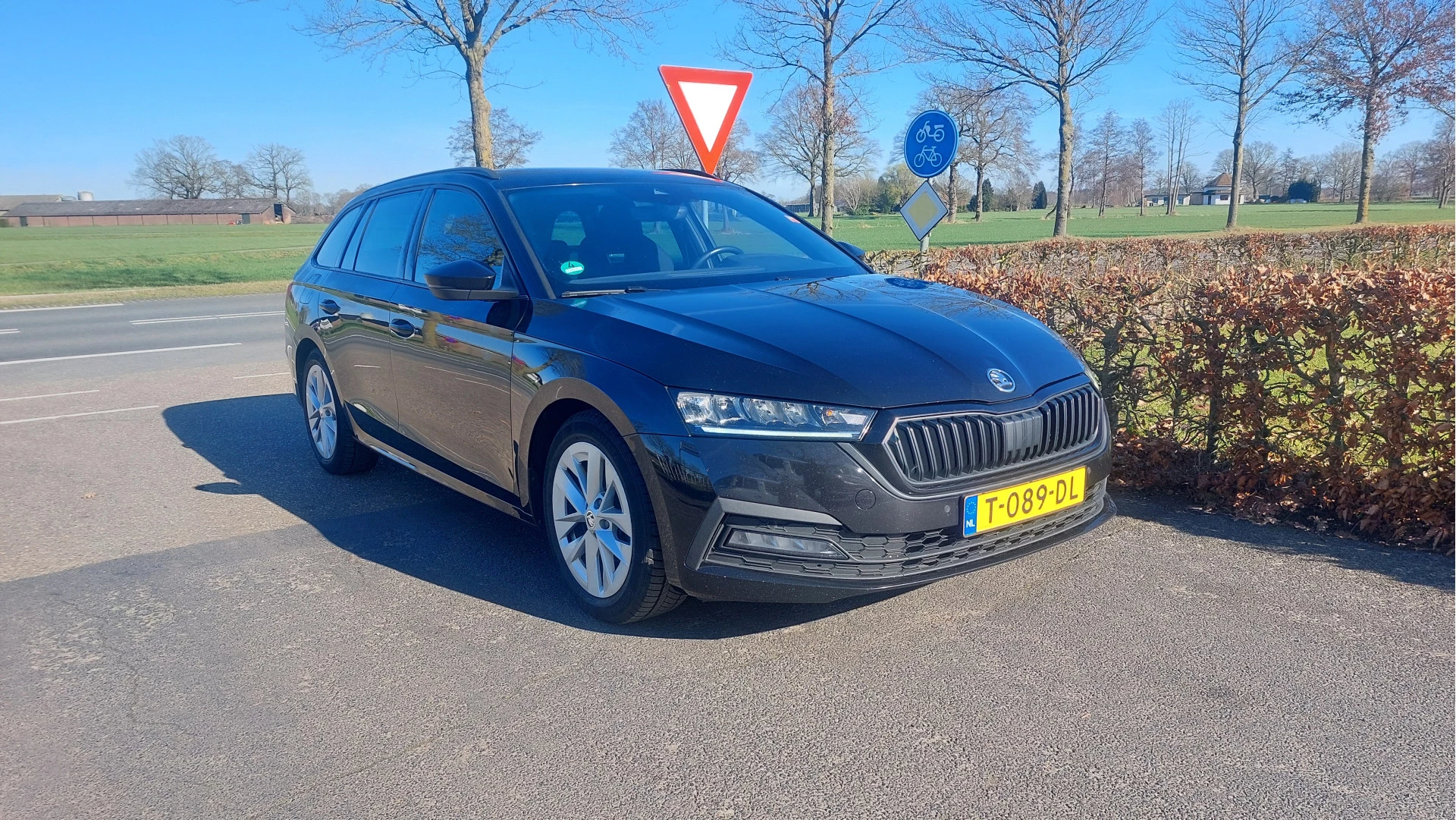 Hoofdafbeelding Škoda Octavia