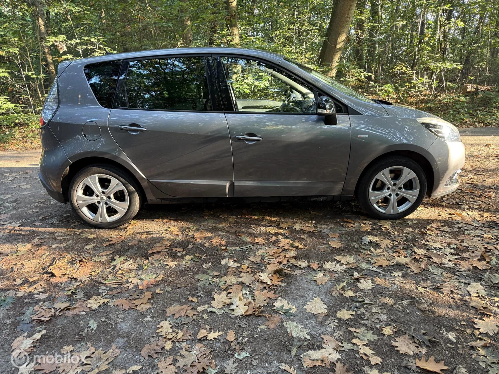 Hoofdafbeelding Renault Scénic