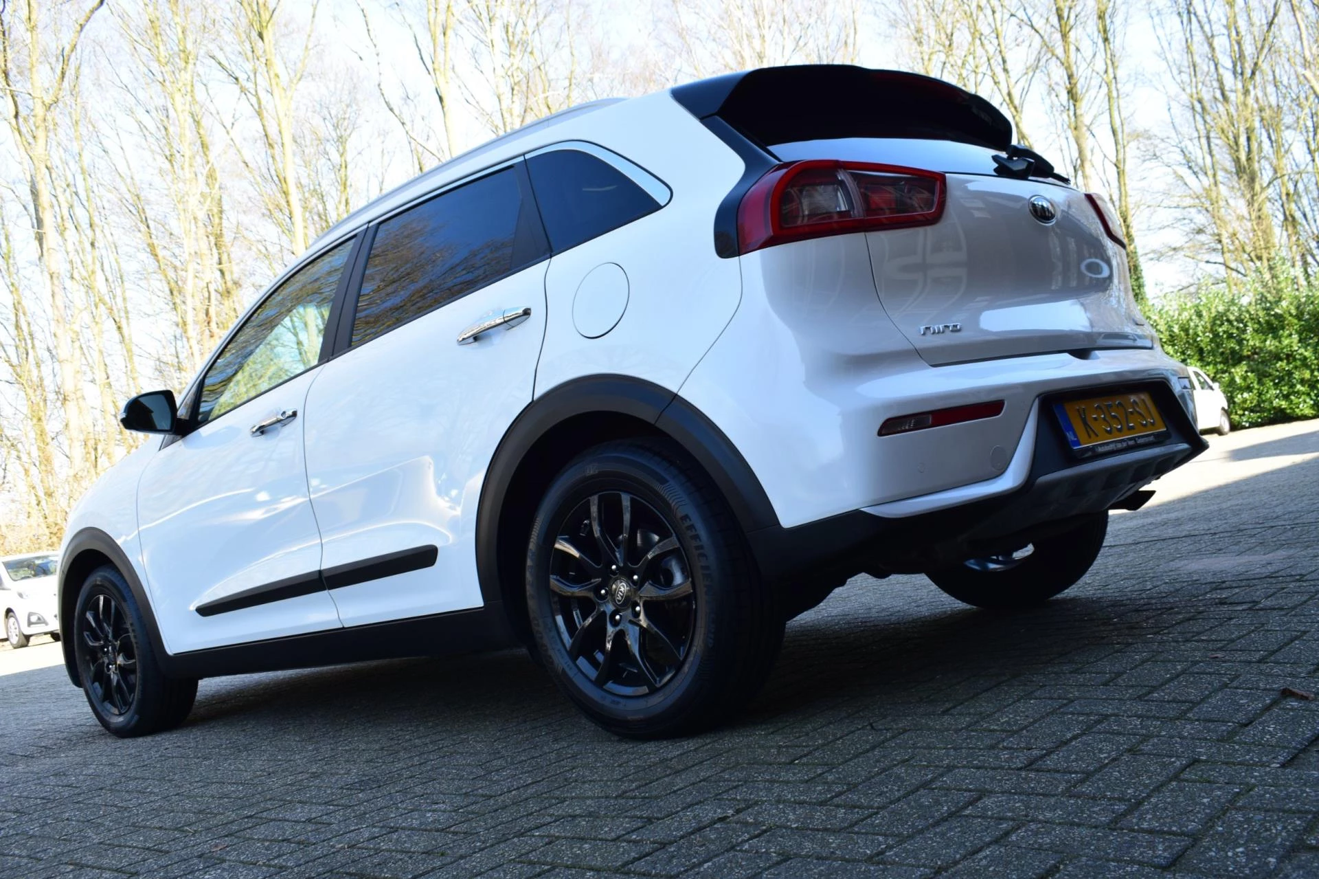 Hoofdafbeelding Kia Niro