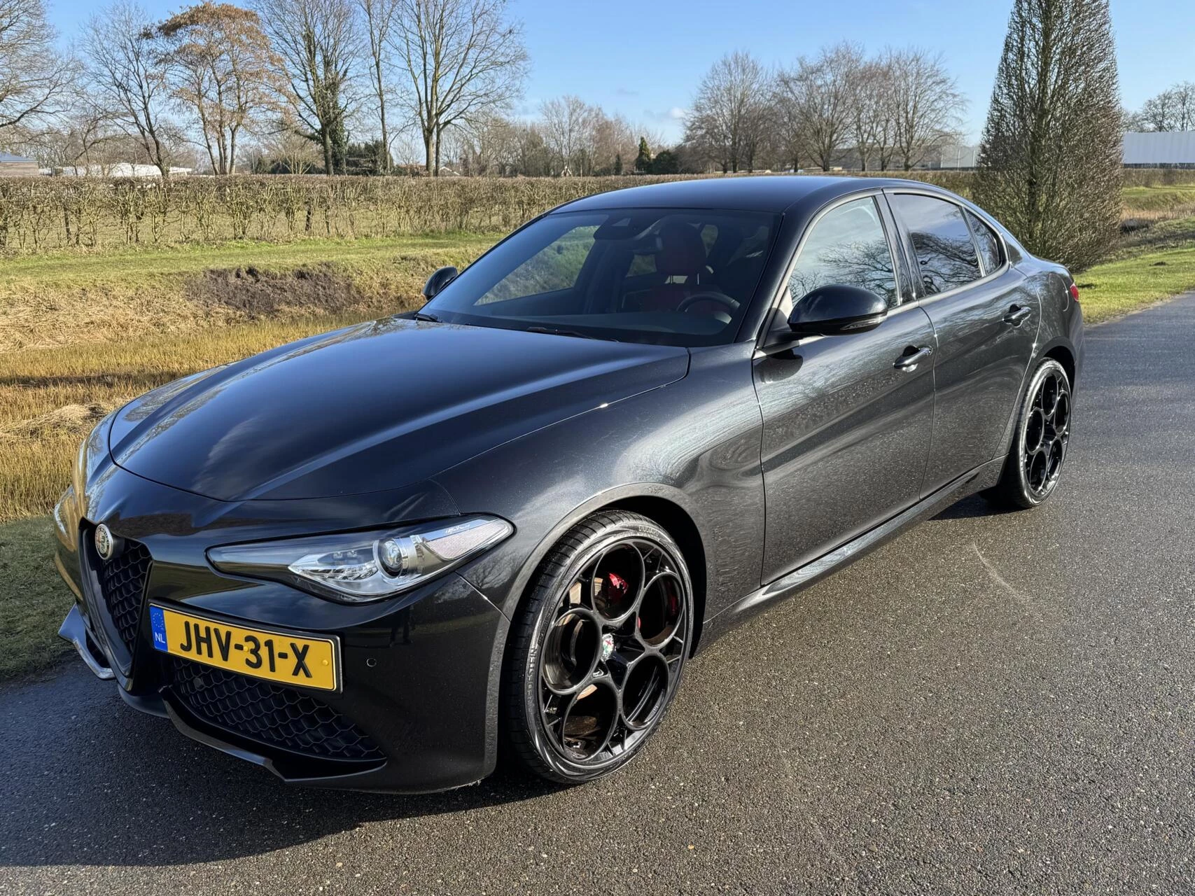 Hoofdafbeelding Alfa Romeo Giulia