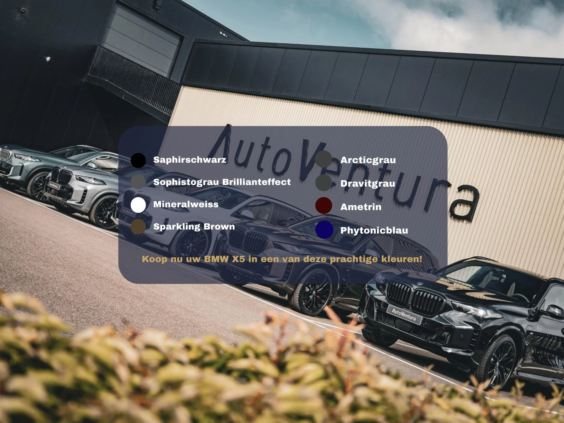 Hoofdafbeelding BMW X5