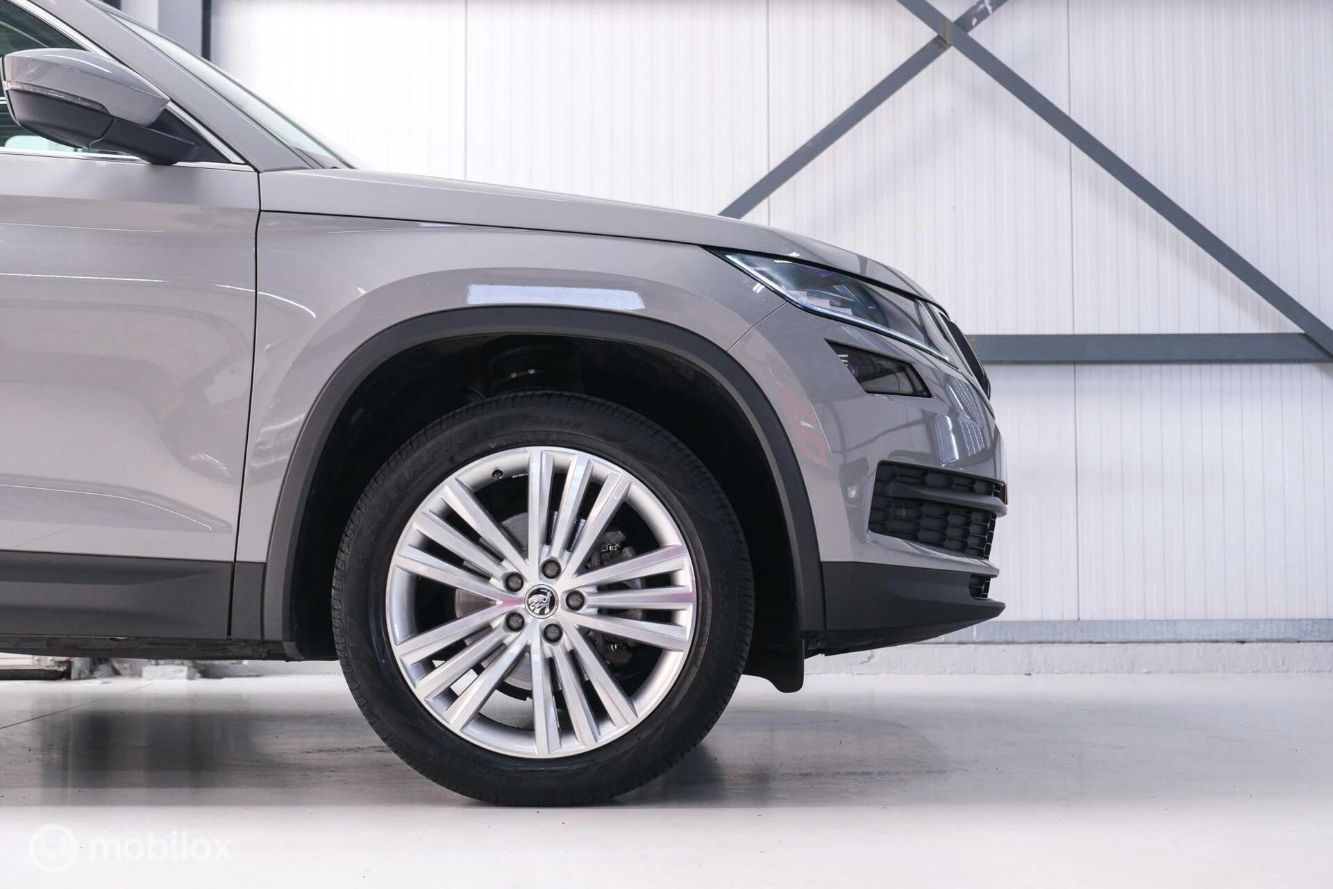 Hoofdafbeelding Škoda Kodiaq