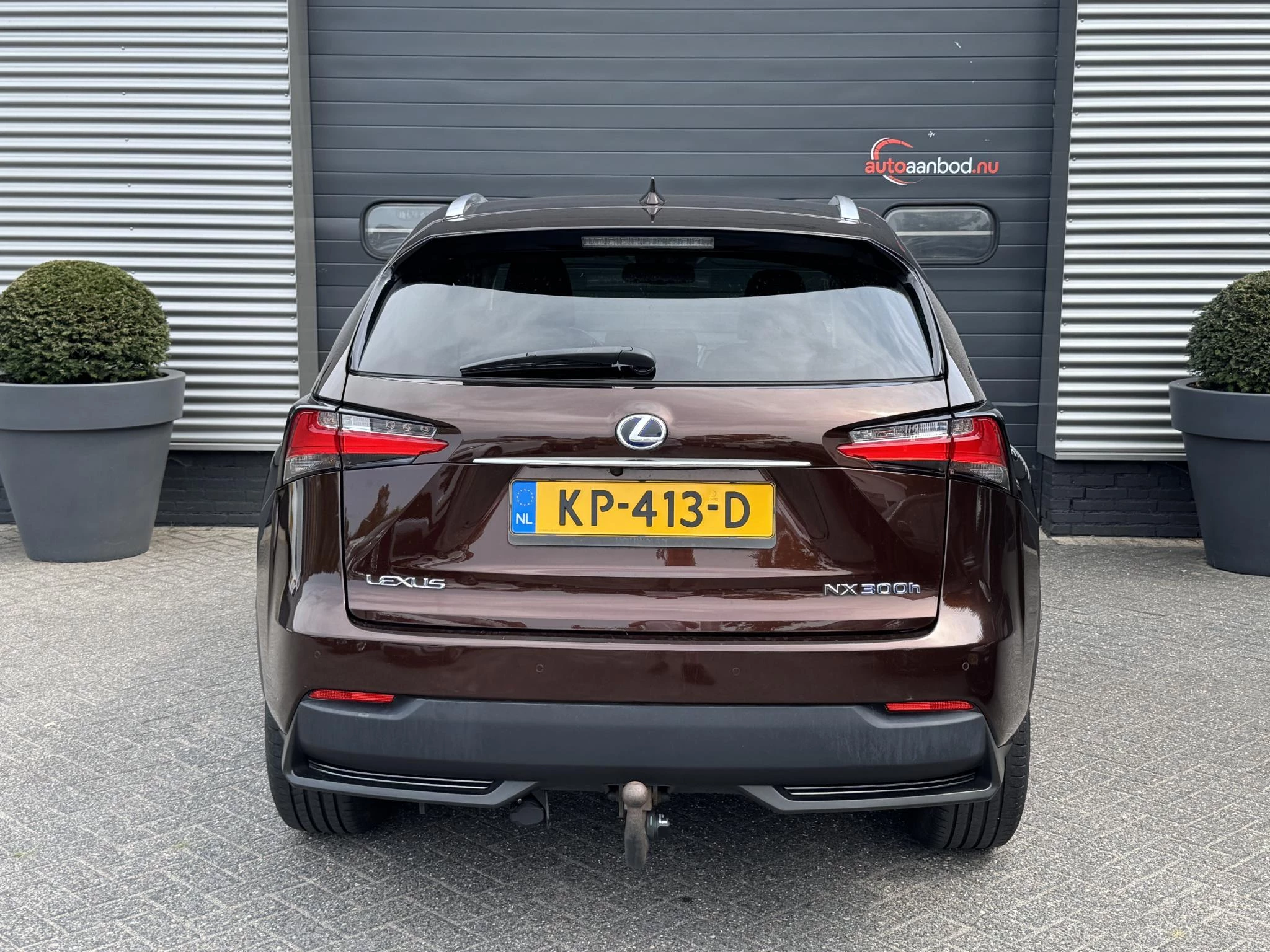 Hoofdafbeelding Lexus NX