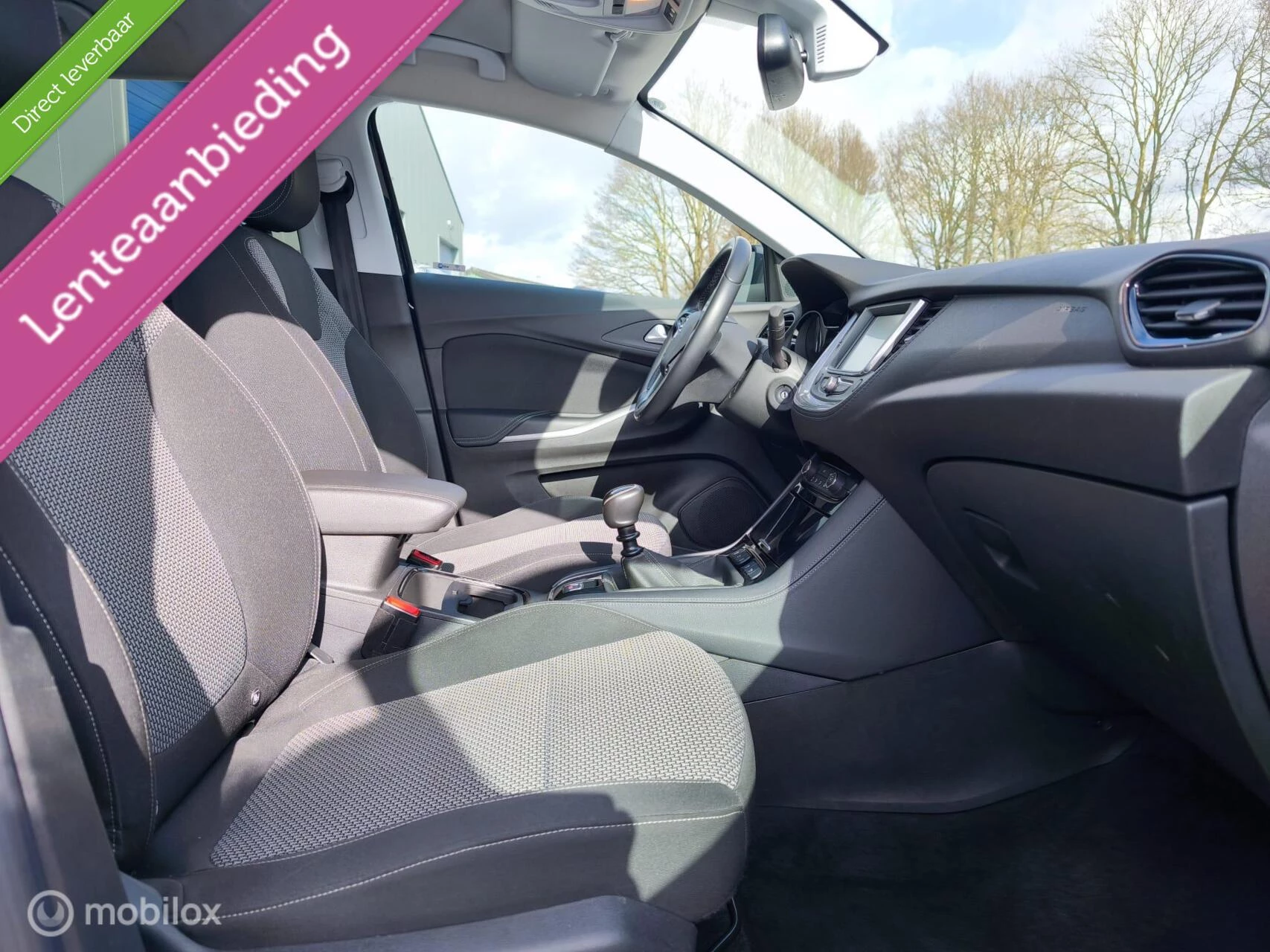 Hoofdafbeelding Opel Grandland X