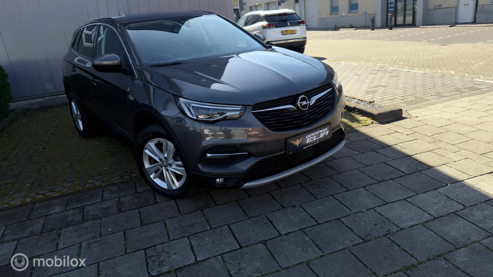 Hoofdafbeelding Opel Grandland X