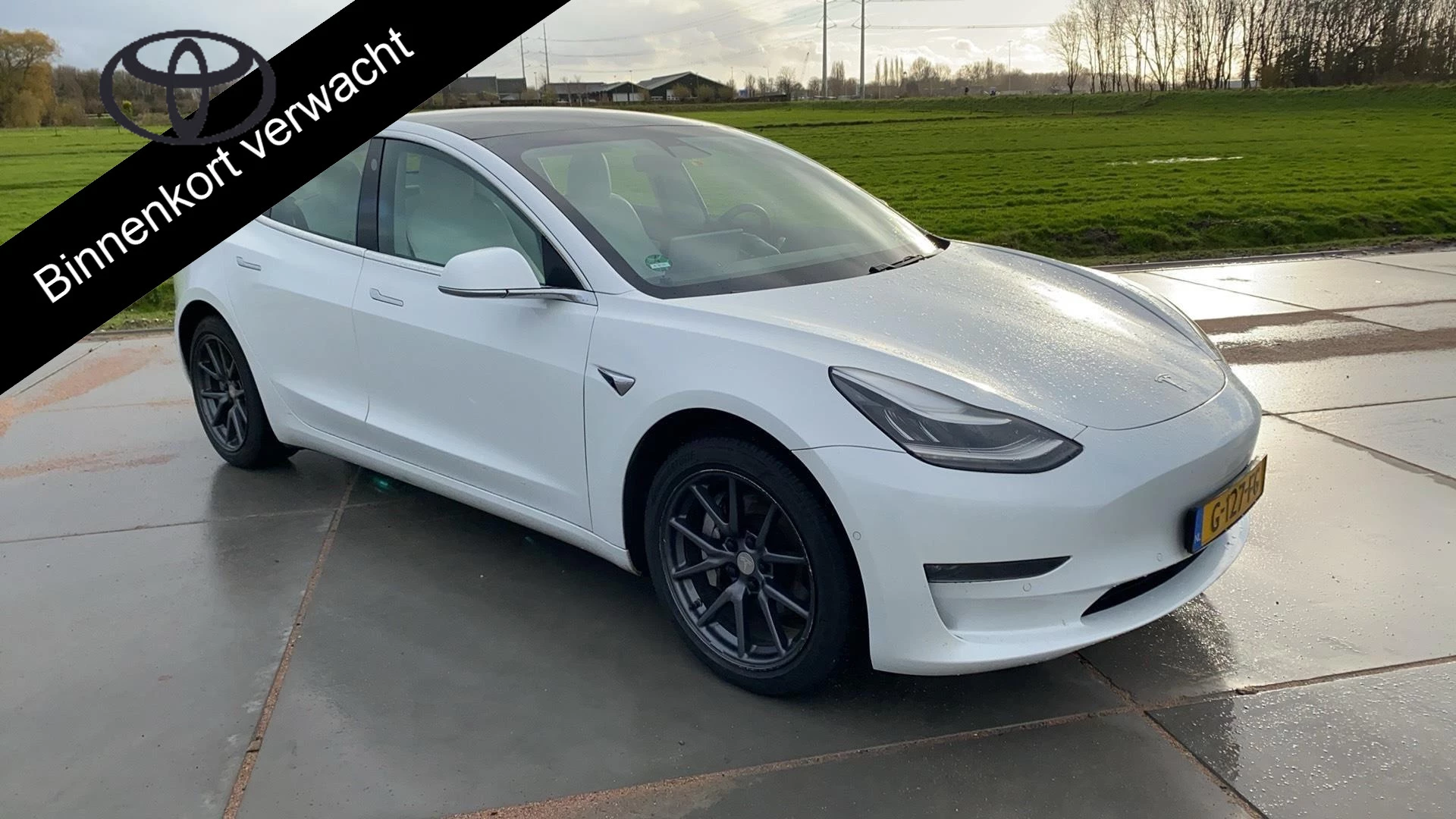 Hoofdafbeelding Tesla Model 3