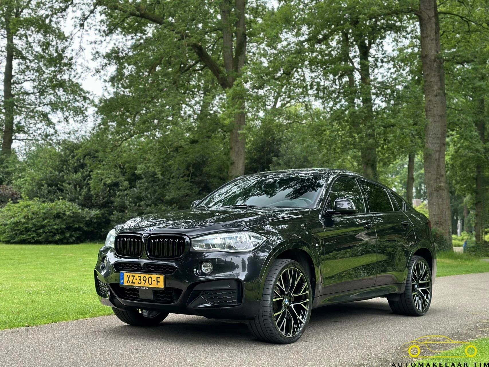 Hoofdafbeelding BMW X6