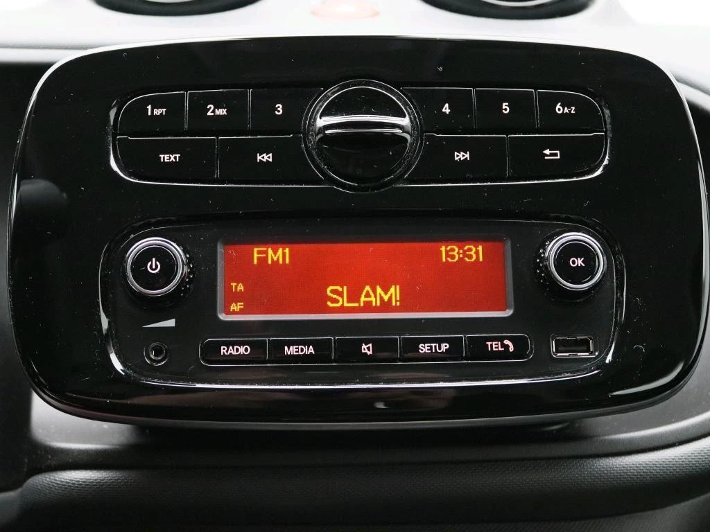 Hoofdafbeelding Smart Forfour