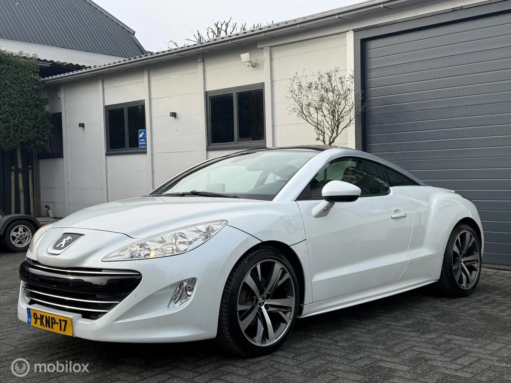 Hoofdafbeelding Peugeot RCZ