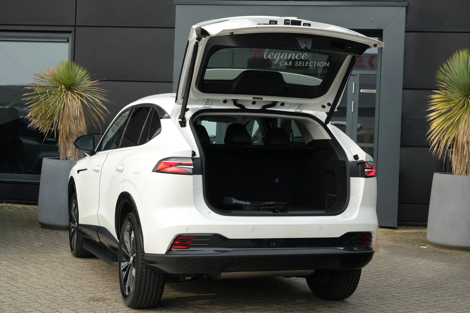 Hoofdafbeelding MG HS