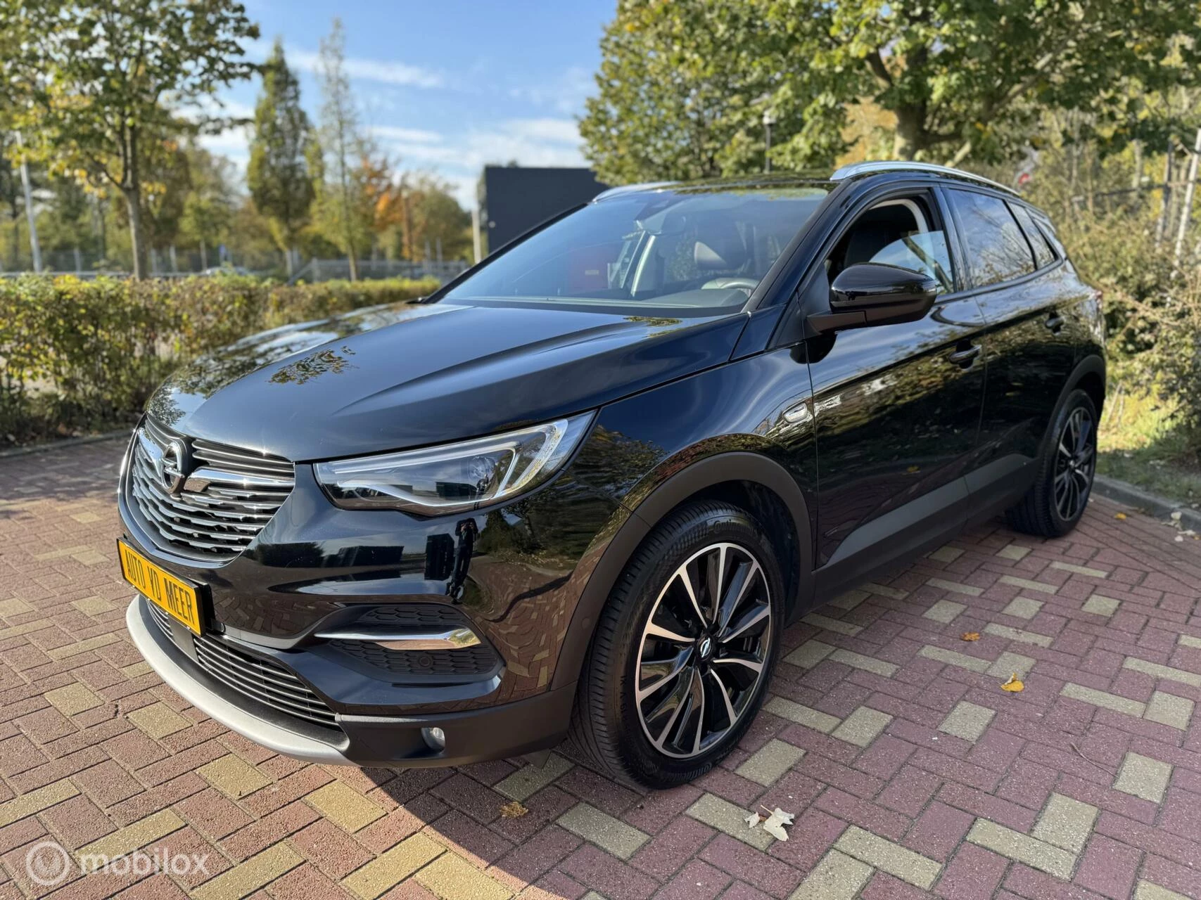 Hoofdafbeelding Opel Grandland X