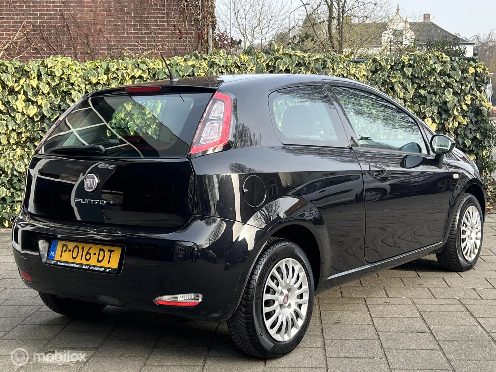 Hoofdafbeelding Fiat Punto