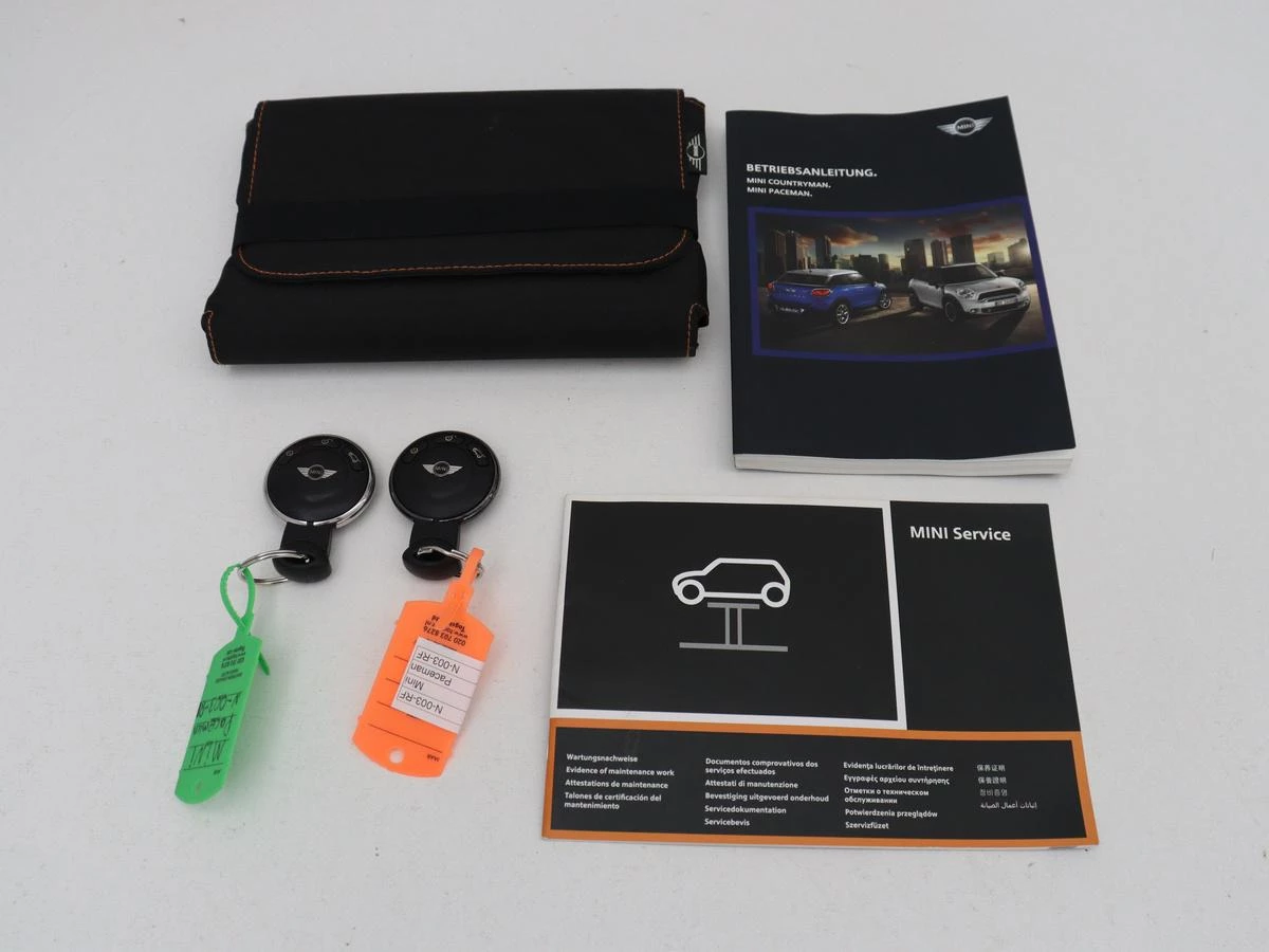 Hoofdafbeelding MINI Paceman