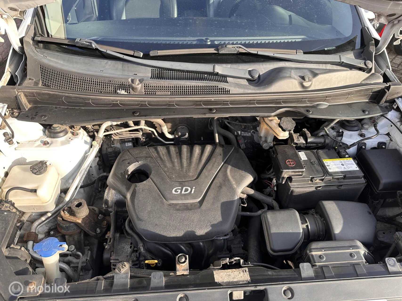 Hoofdafbeelding Kia Sportage