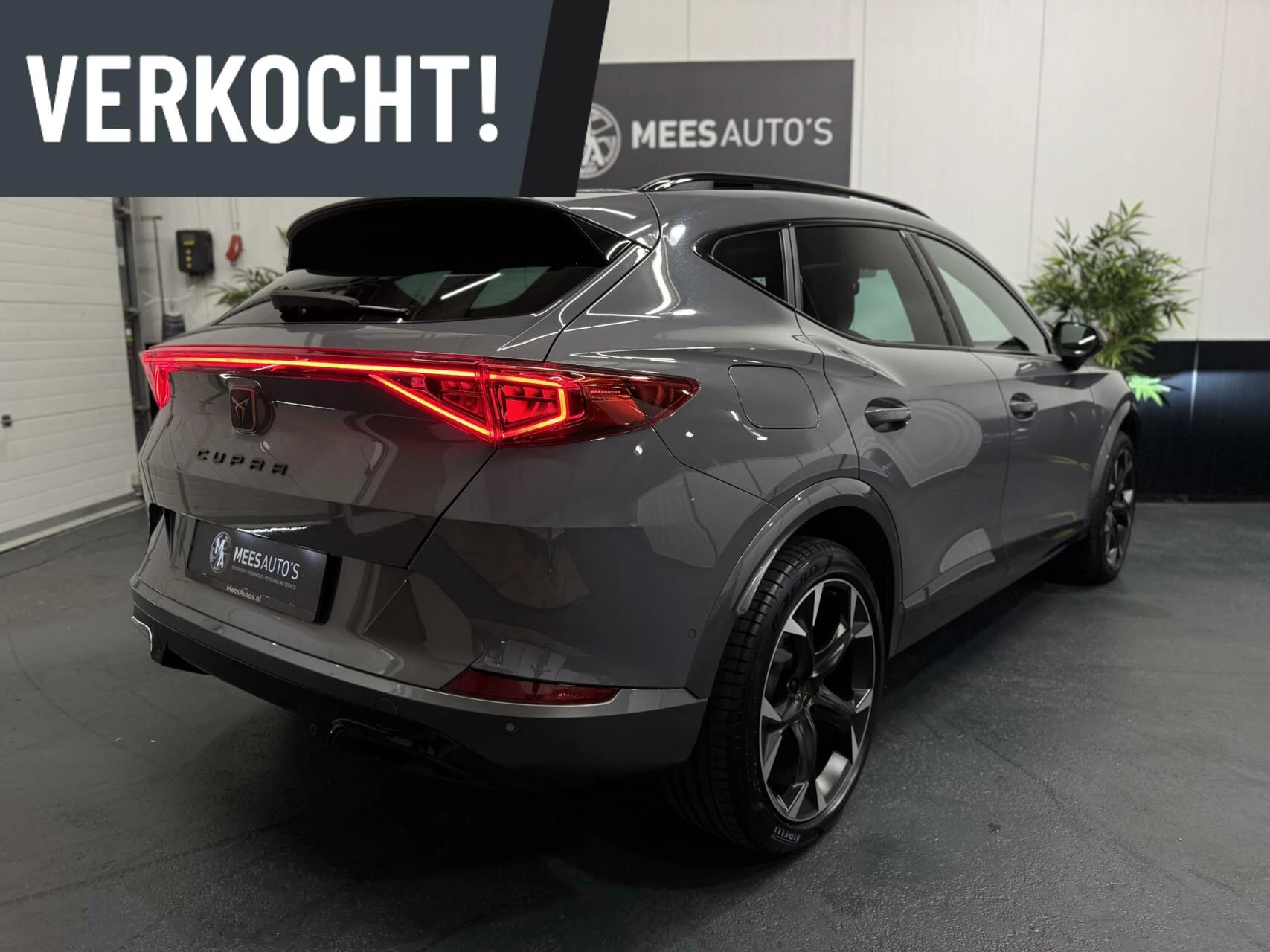 Hoofdafbeelding CUPRA Formentor