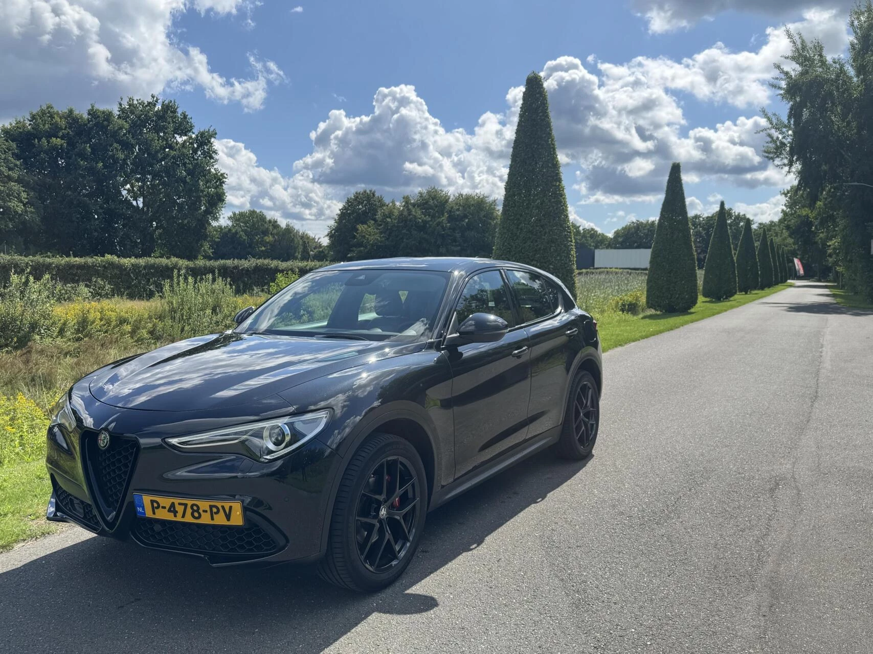 Hoofdafbeelding Alfa Romeo Stelvio