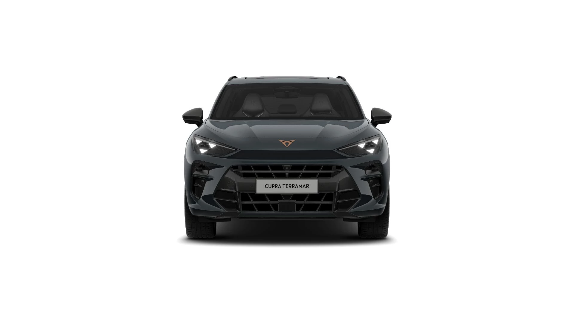 Hoofdafbeelding CUPRA Terramar