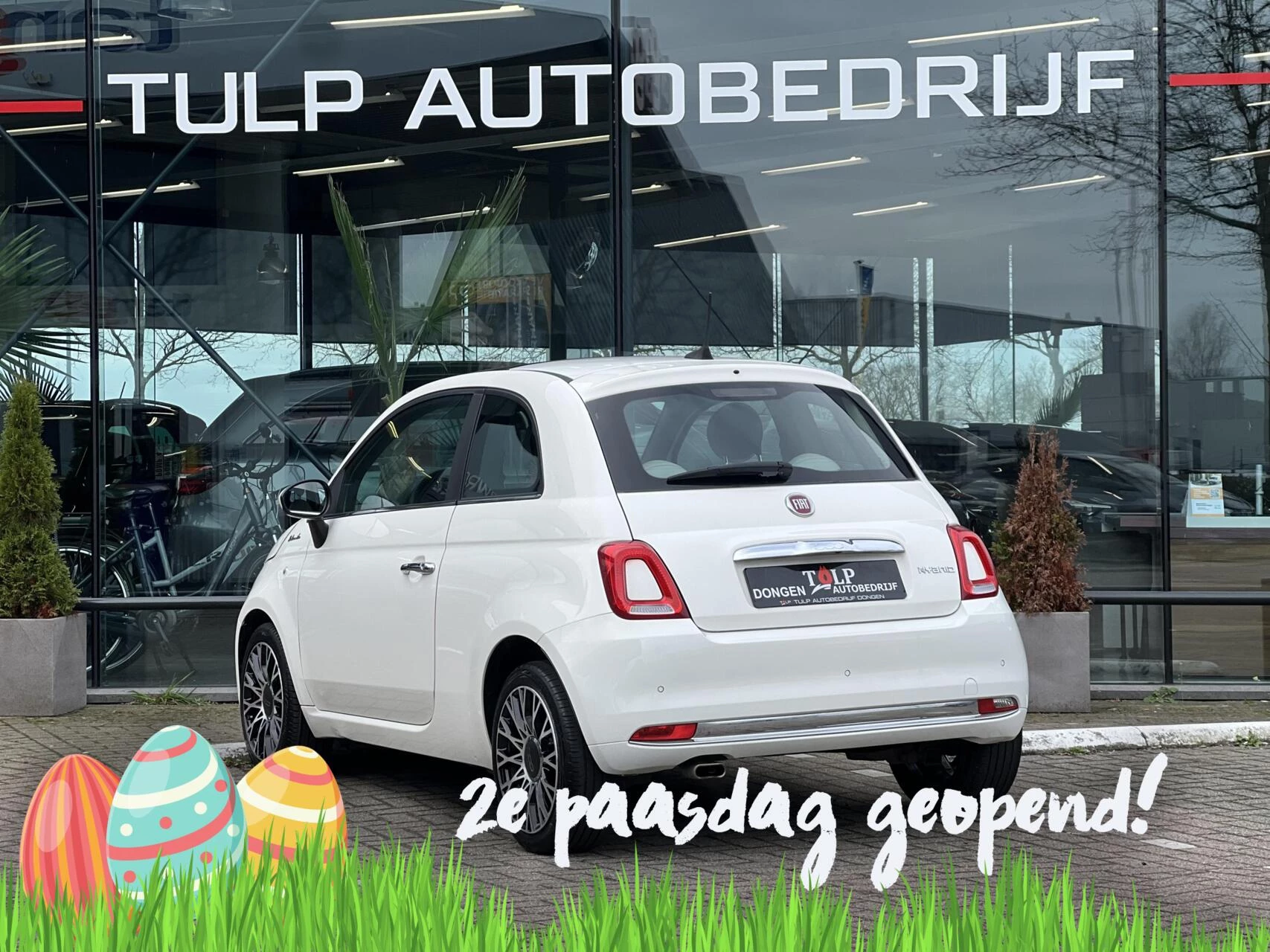 Hoofdafbeelding Fiat 500