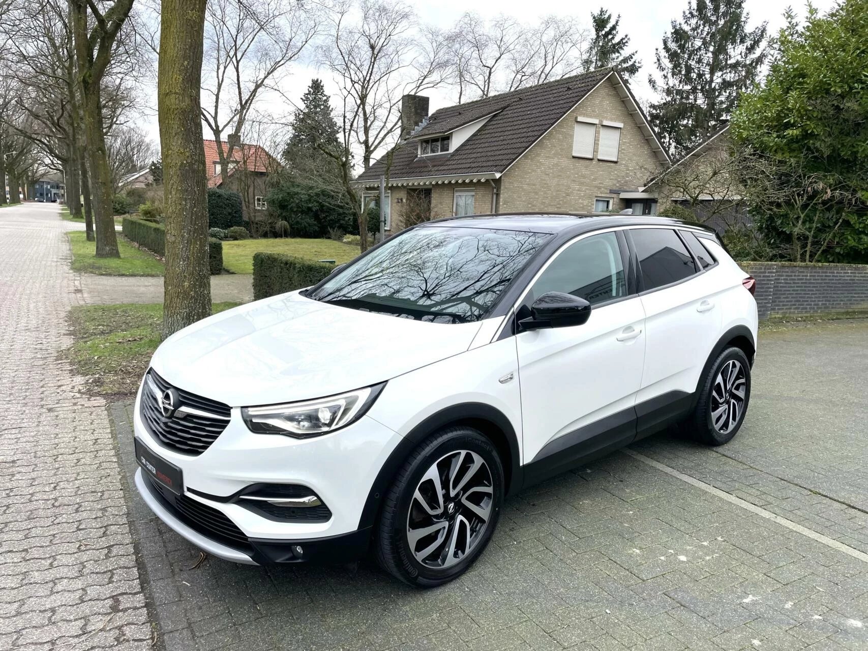 Hoofdafbeelding Opel Grandland X