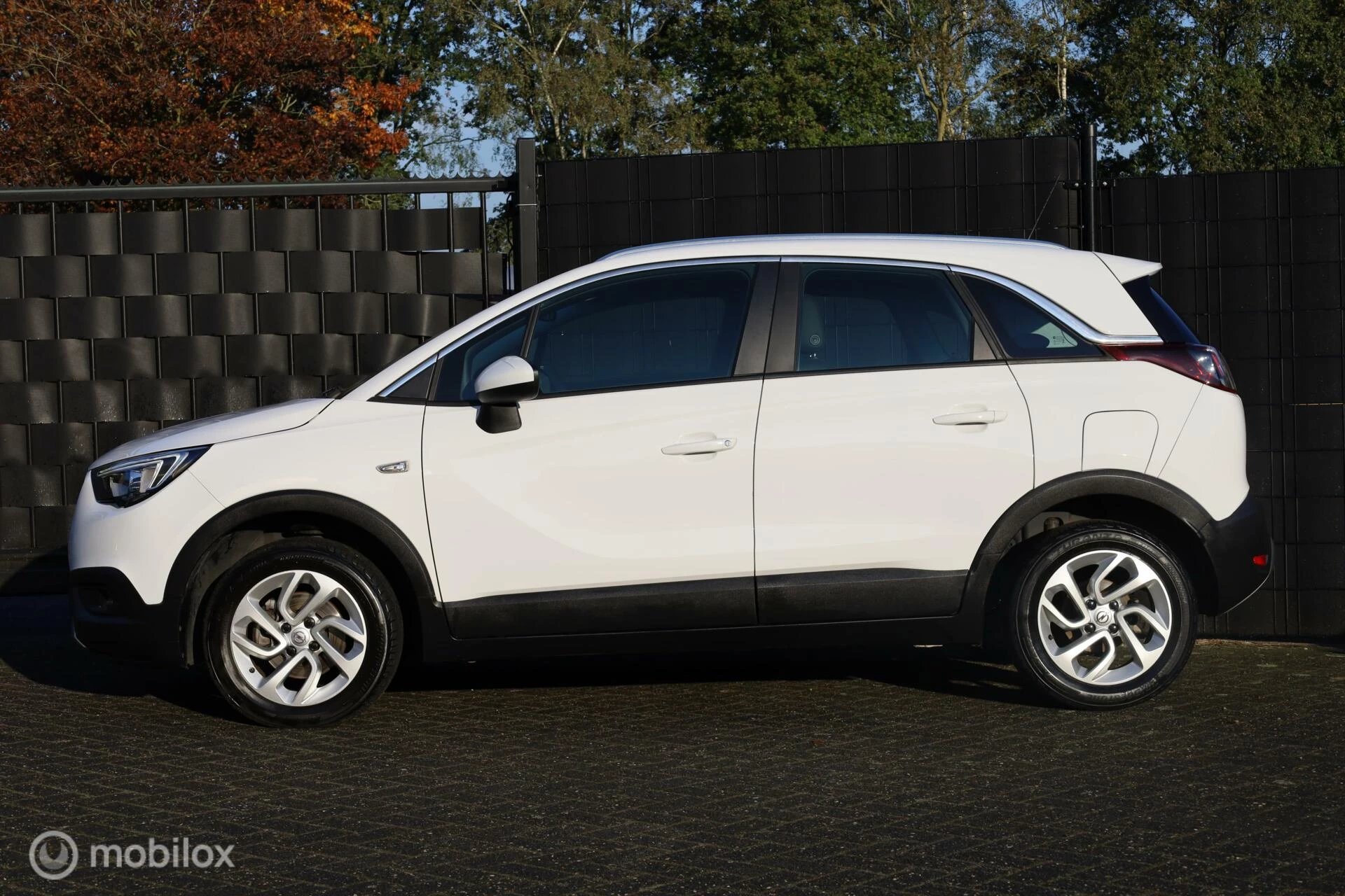 Hoofdafbeelding Opel Crossland X