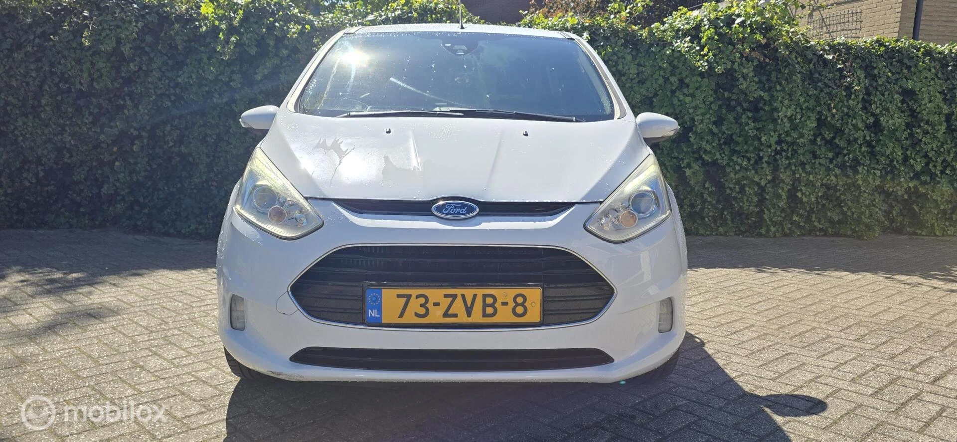 Hoofdafbeelding Ford B-MAX