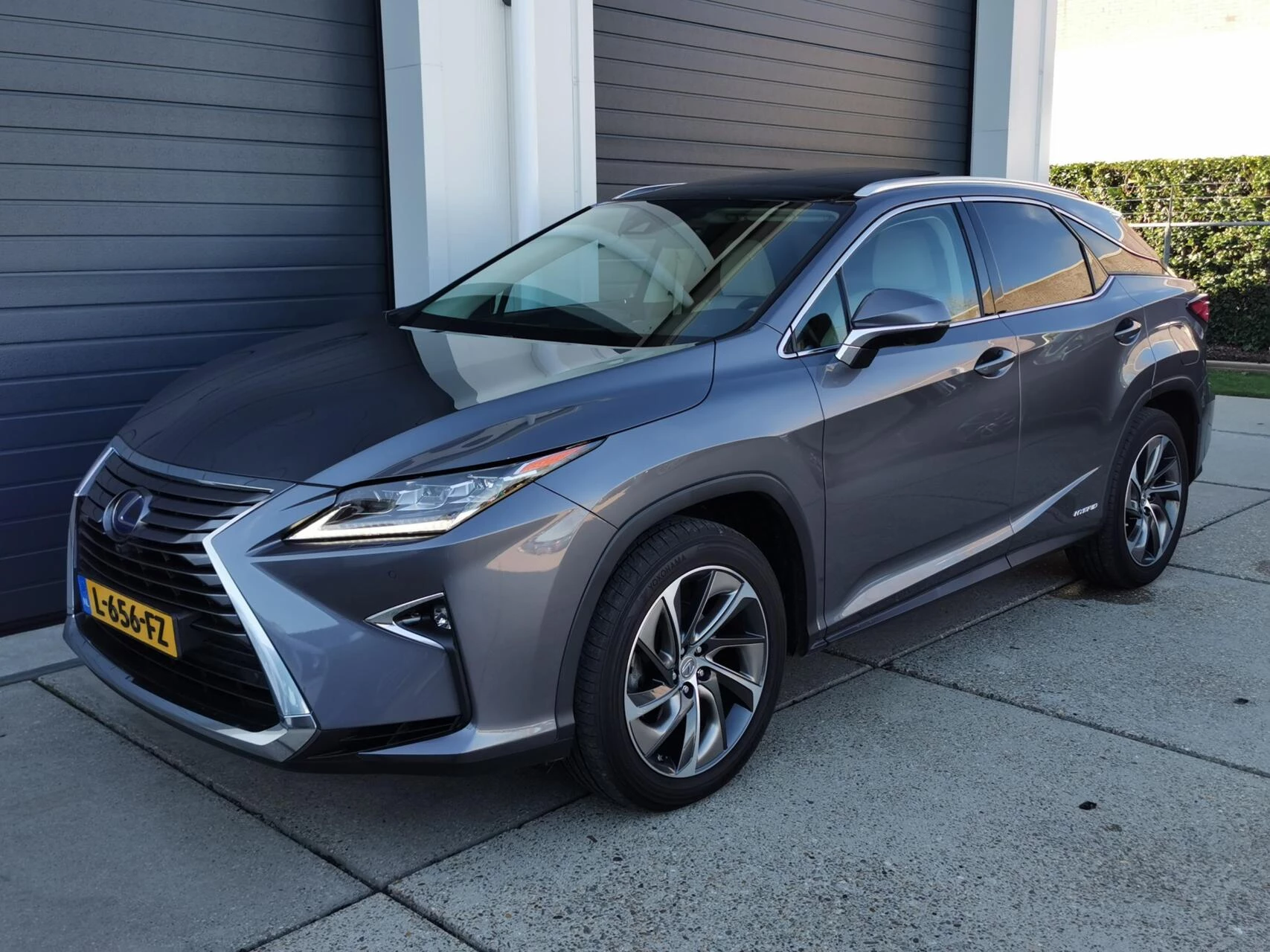 Hoofdafbeelding Lexus RX