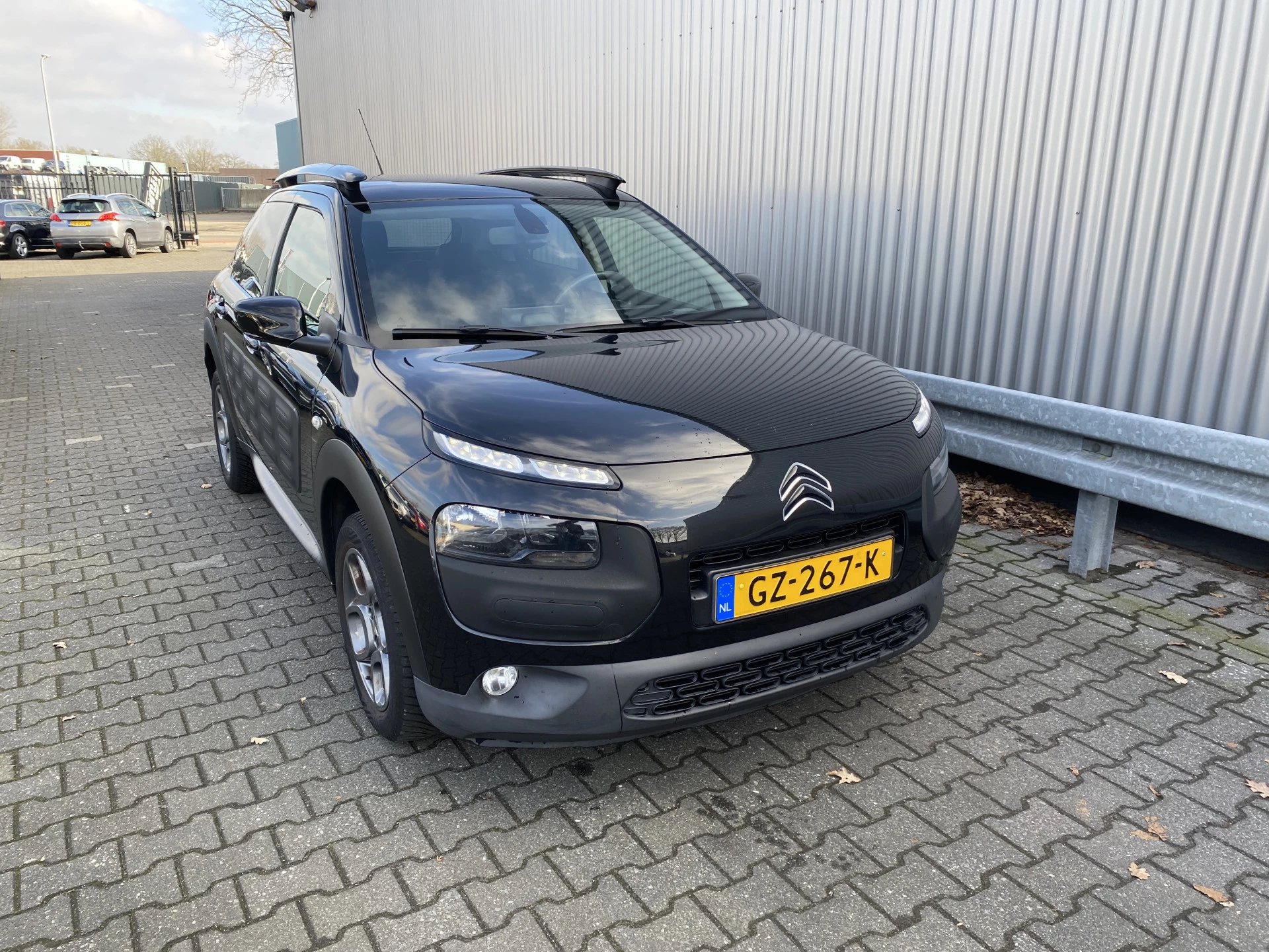 Hoofdafbeelding Citroën C4 Cactus