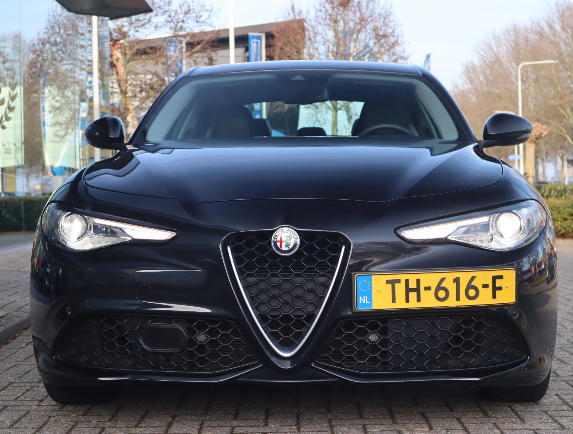 Hoofdafbeelding Alfa Romeo Giulia