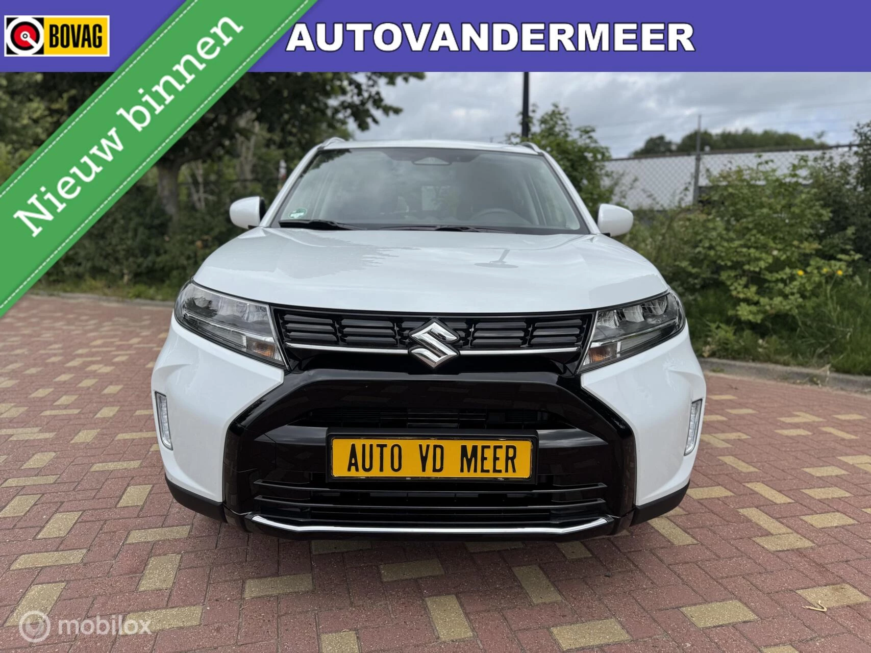 Hoofdafbeelding Suzuki Vitara