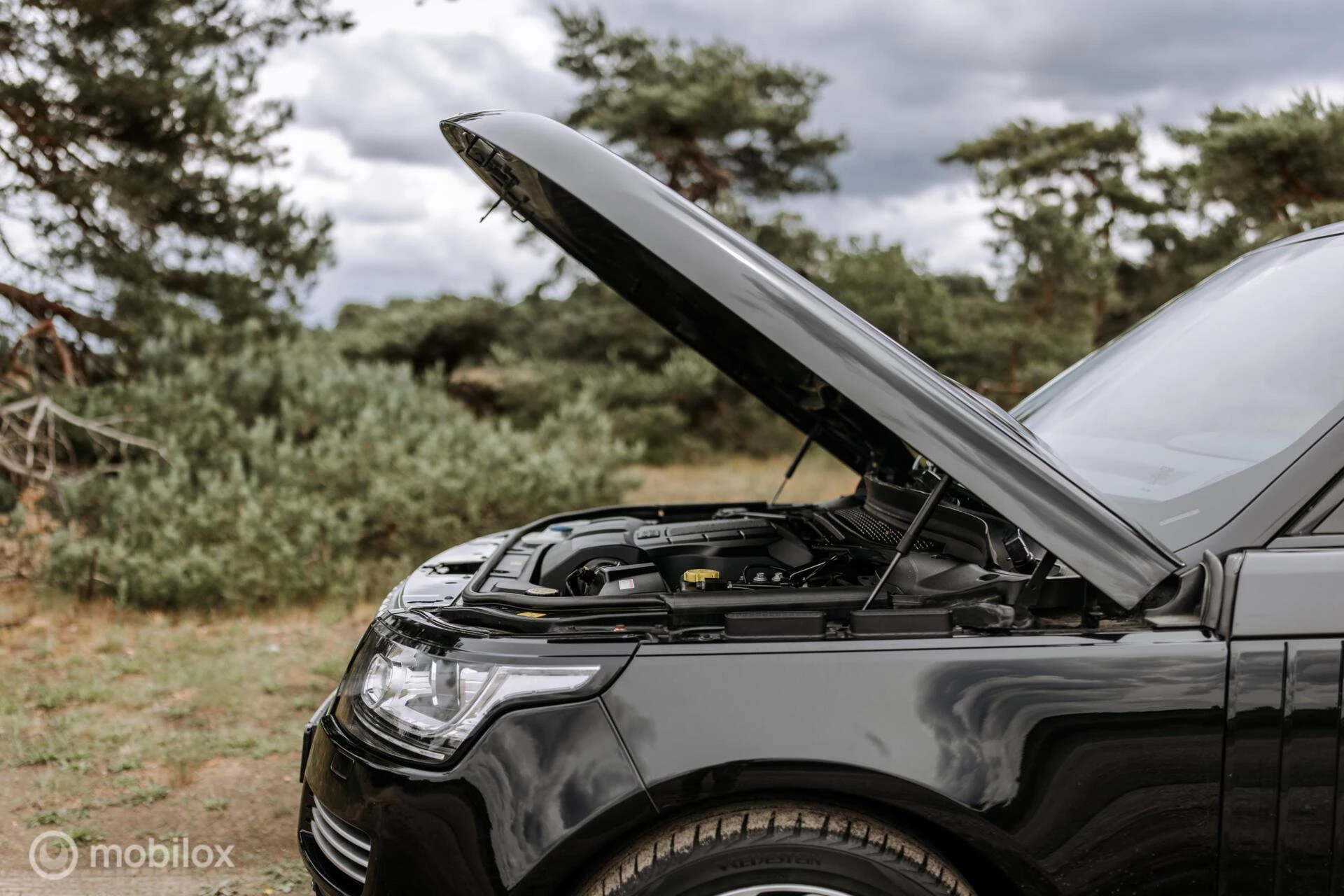 Hoofdafbeelding Land Rover Range Rover