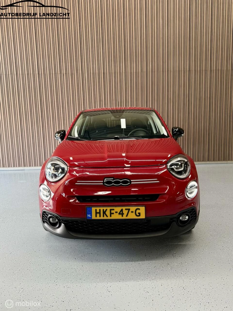 Hoofdafbeelding Fiat 500X