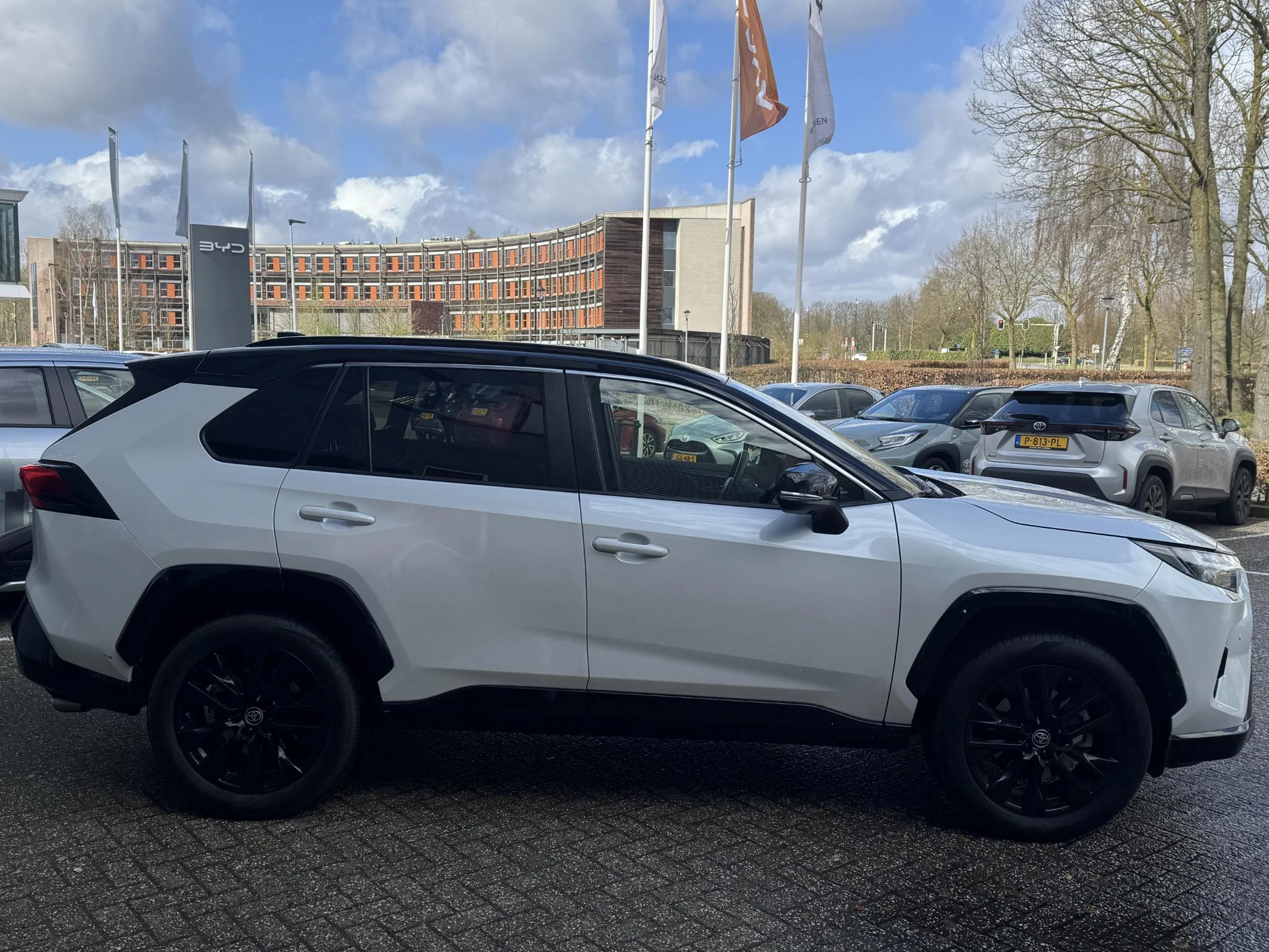 Hoofdafbeelding Toyota RAV4