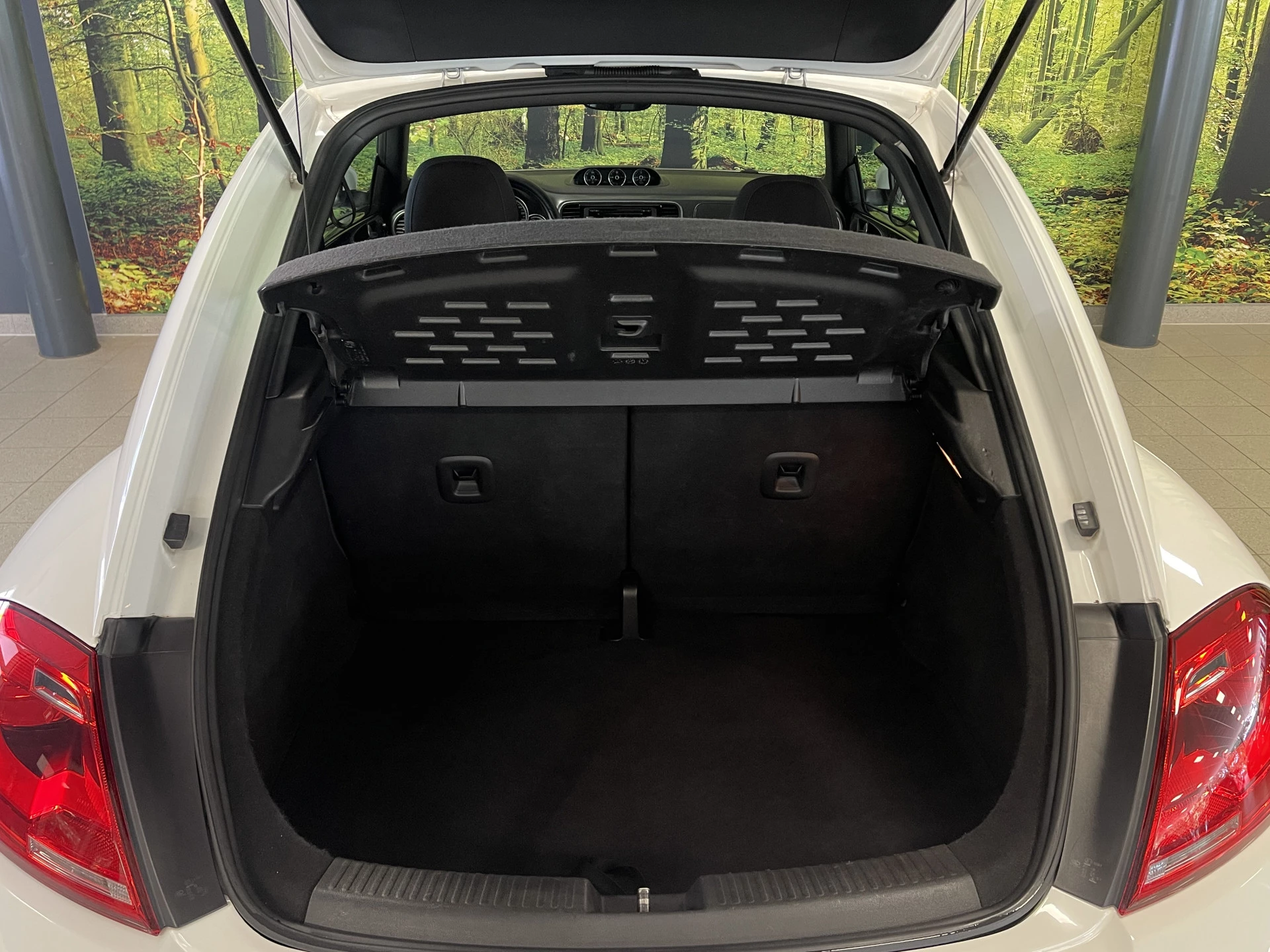 Hoofdafbeelding Volkswagen Beetle