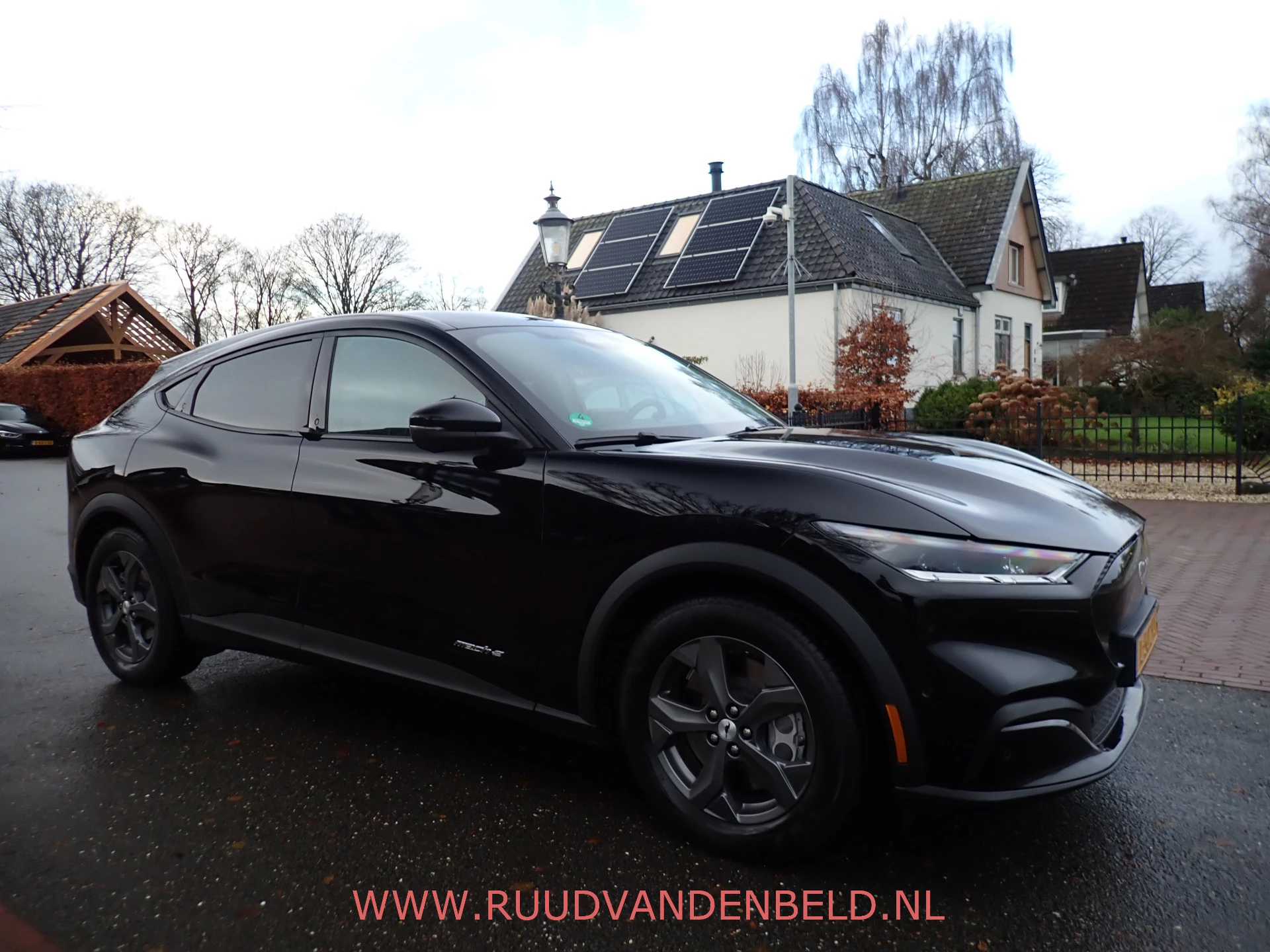 Hoofdafbeelding Ford Mustang Mach-E