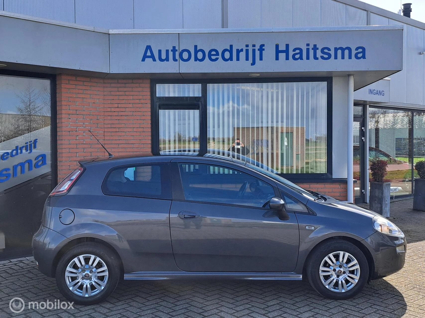 Hoofdafbeelding Fiat Punto
