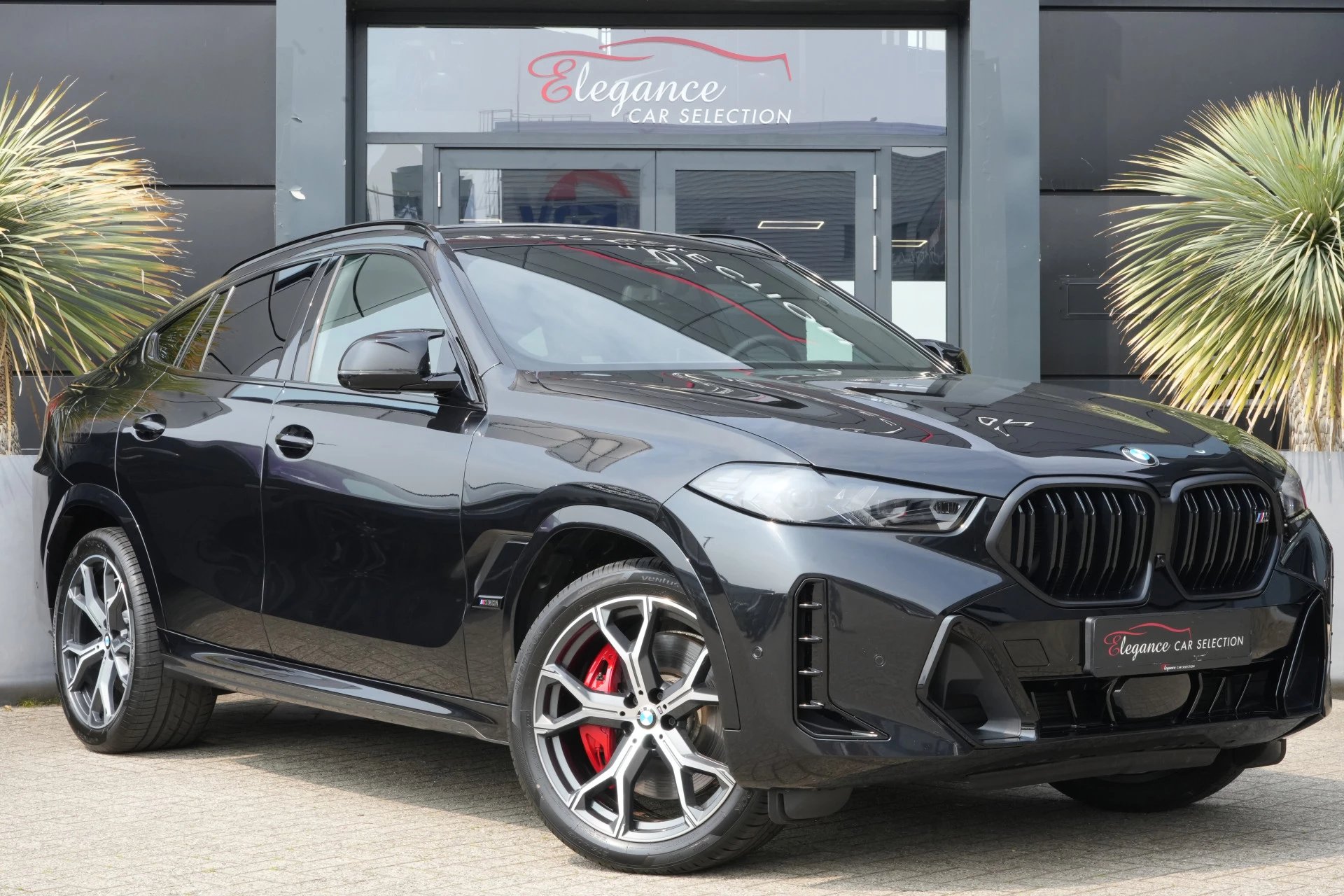 Hoofdafbeelding BMW X6