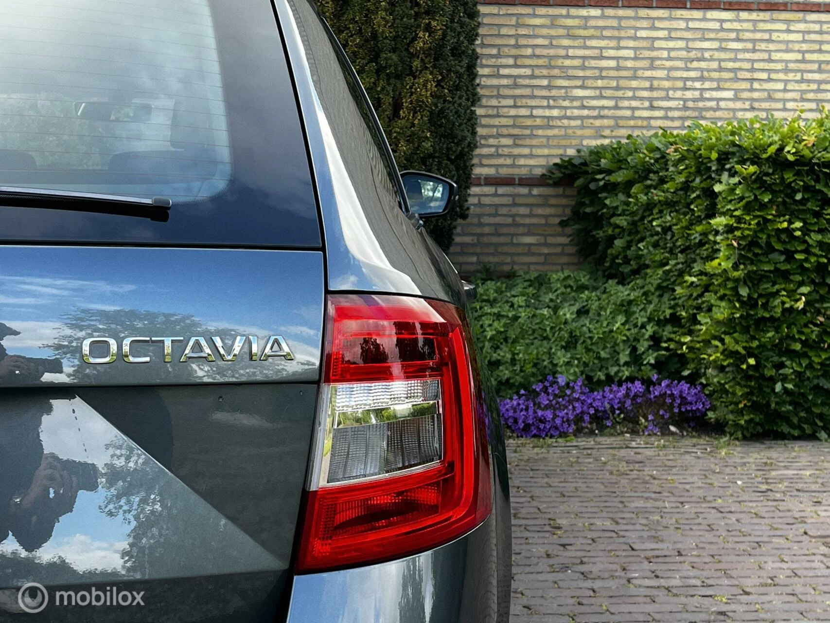 Hoofdafbeelding Škoda Octavia