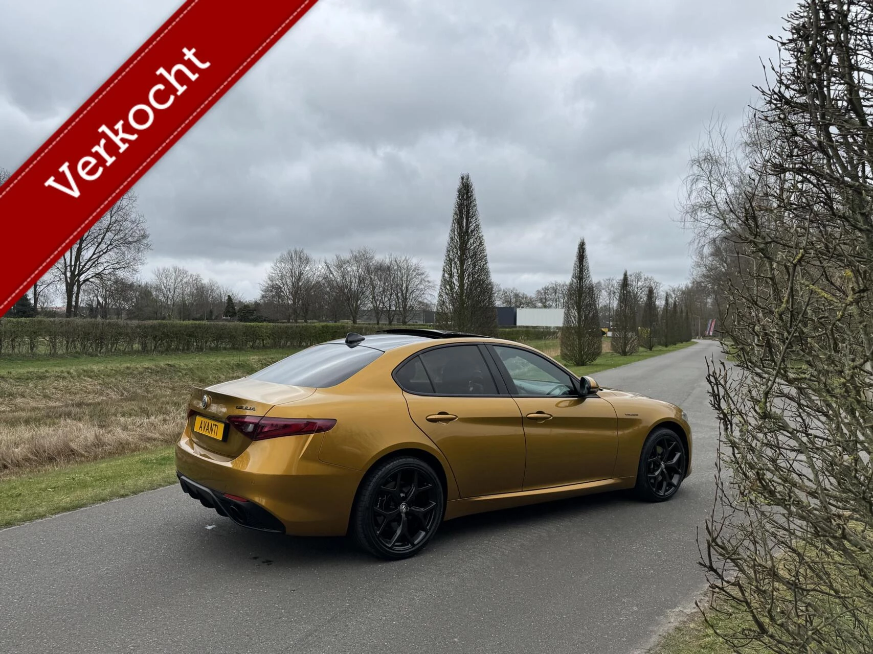 Hoofdafbeelding Alfa Romeo Giulia