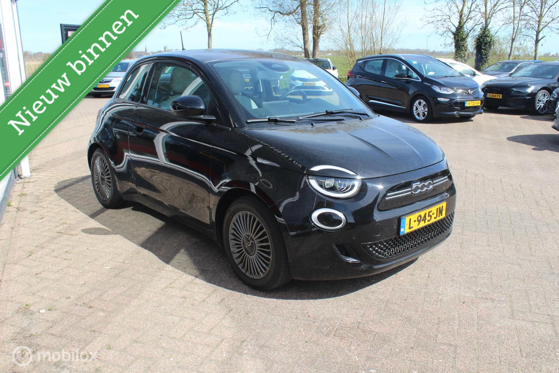 Hoofdafbeelding Fiat 500