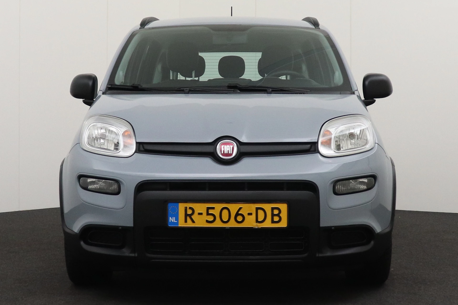 Hoofdafbeelding Fiat Panda
