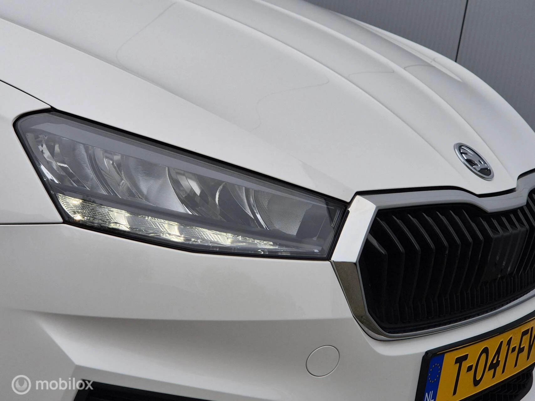 Hoofdafbeelding Škoda Fabia