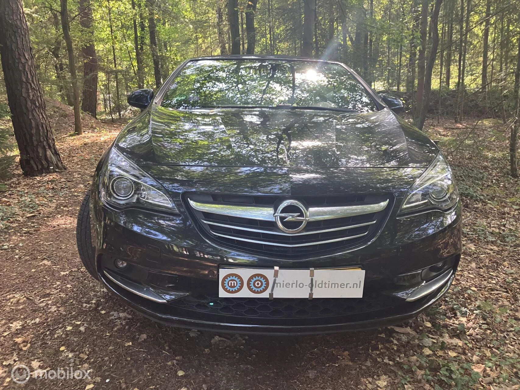 Hoofdafbeelding Opel Cascada